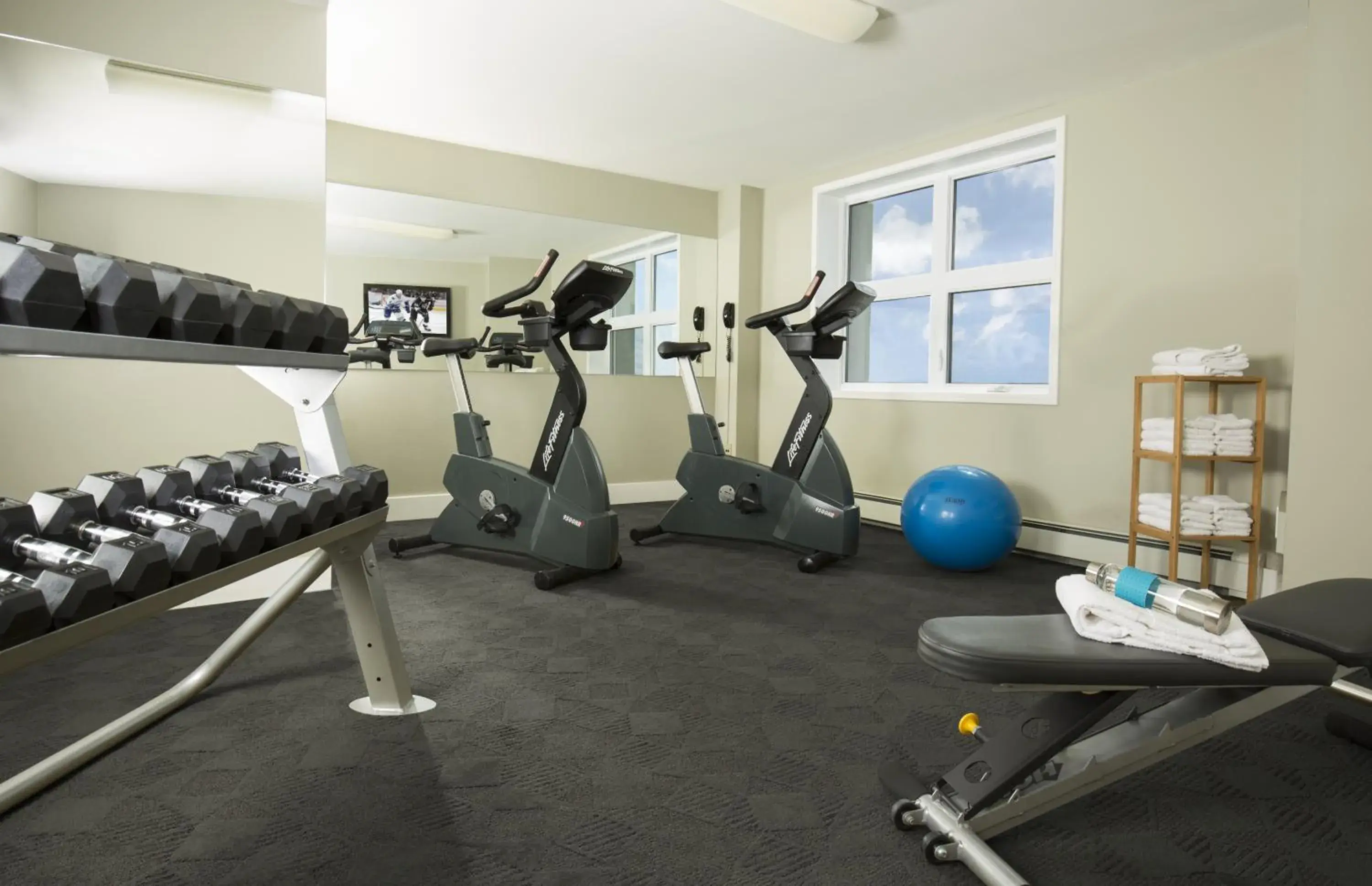 Fitness centre/facilities, Fitness Center/Facilities in Hotel Sepia