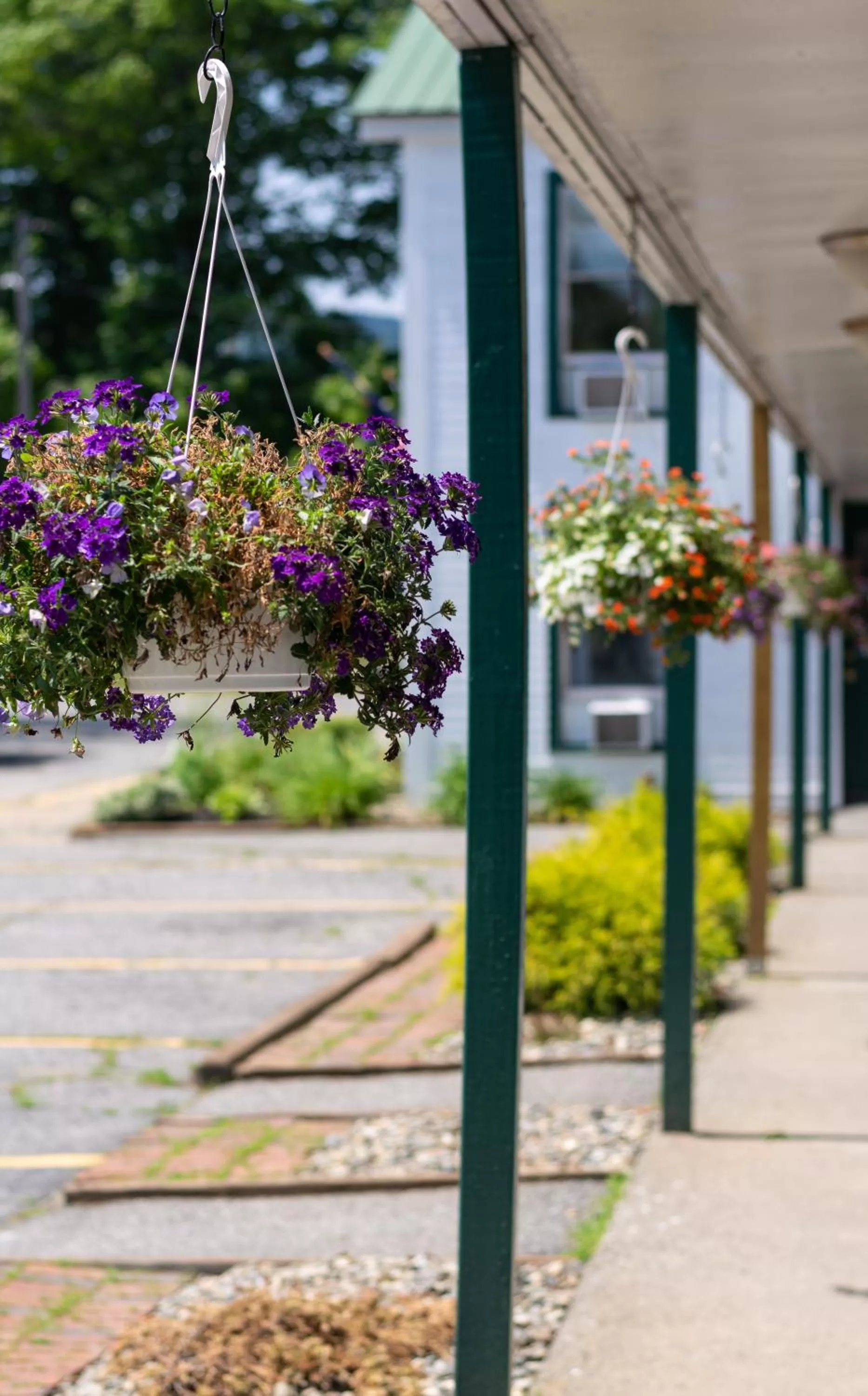 Patio in The Lodge at West River