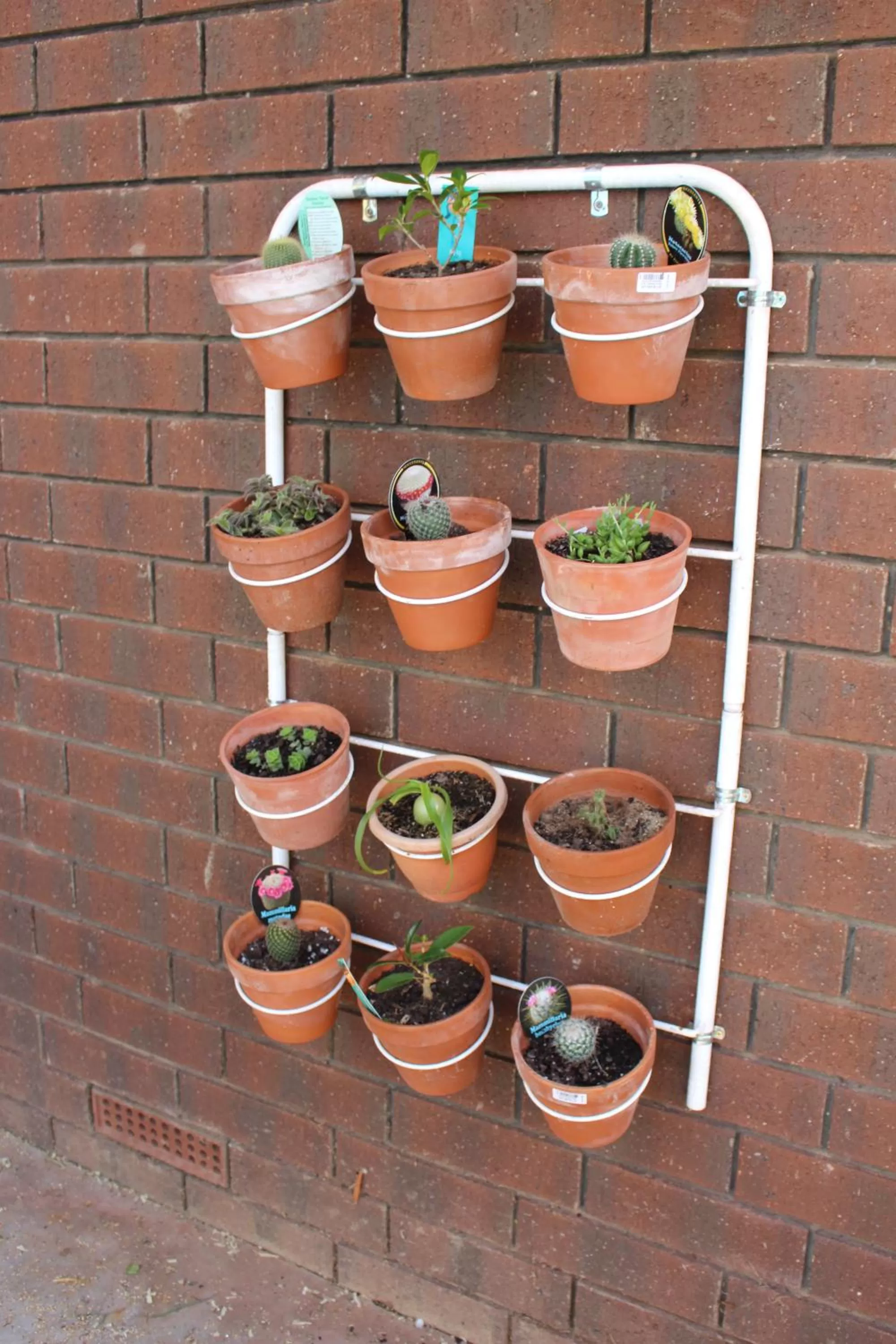 Natural landscape in Pavlos Motel