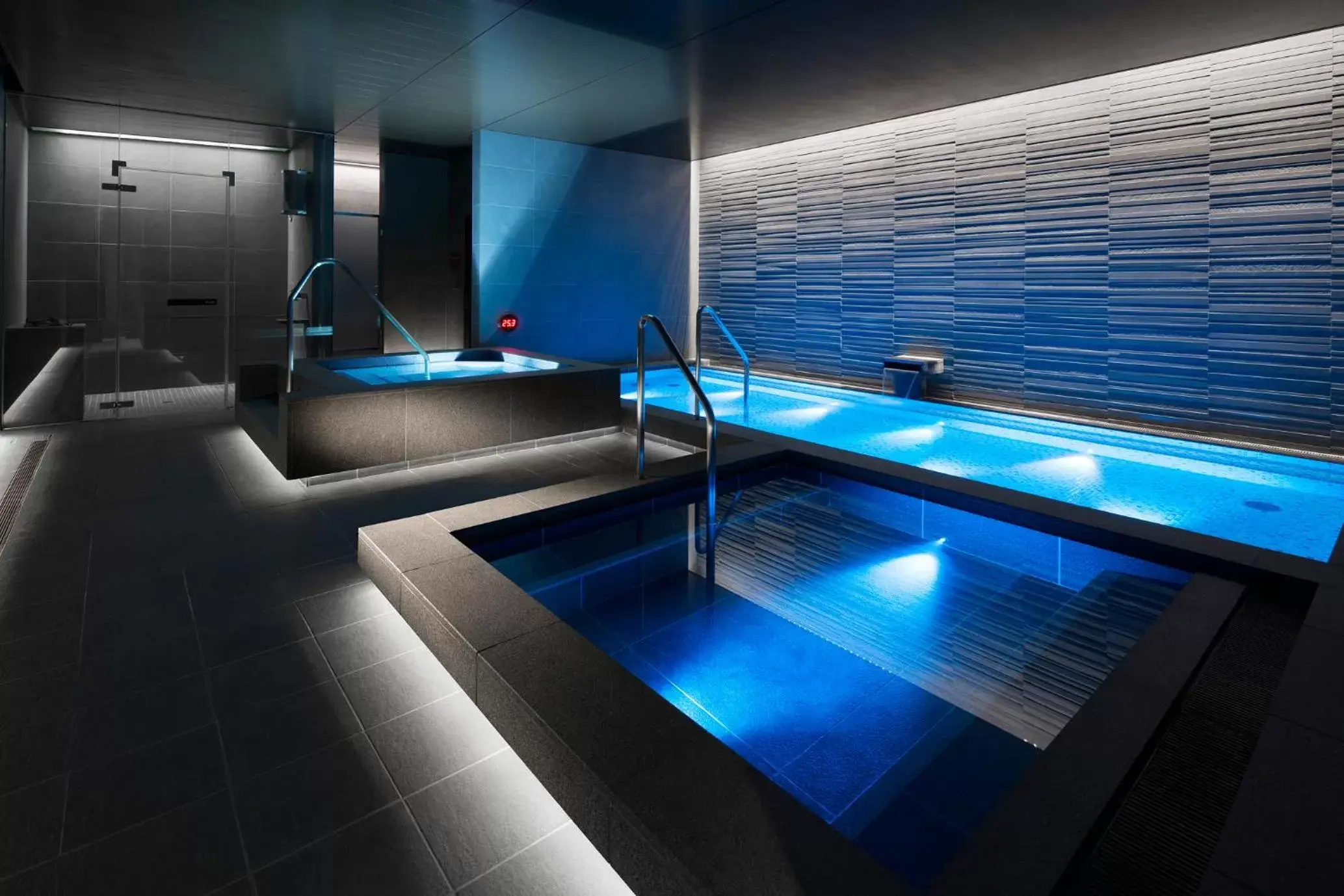 Spa and wellness centre/facilities, Swimming Pool in The Tokyo Station Hotel