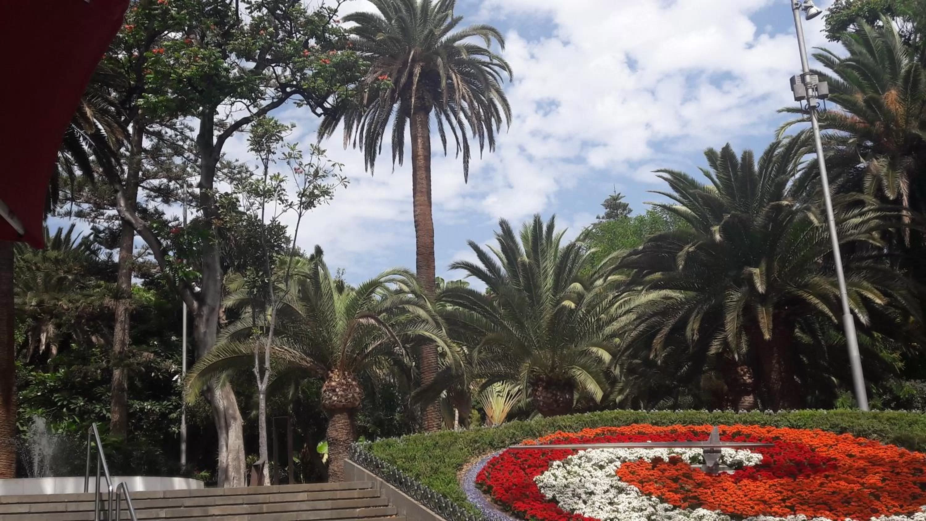 Nearby landmark, Garden in Tenerife Rooms S. C.