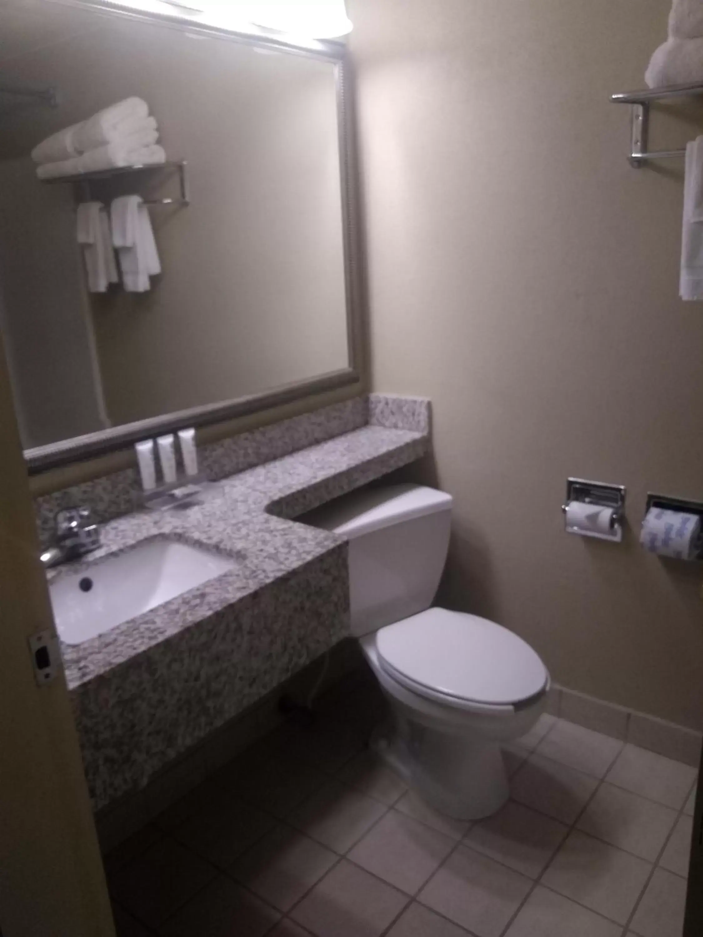 Bathroom in Country Inn & Suites by Radisson, Kalamazoo, MI