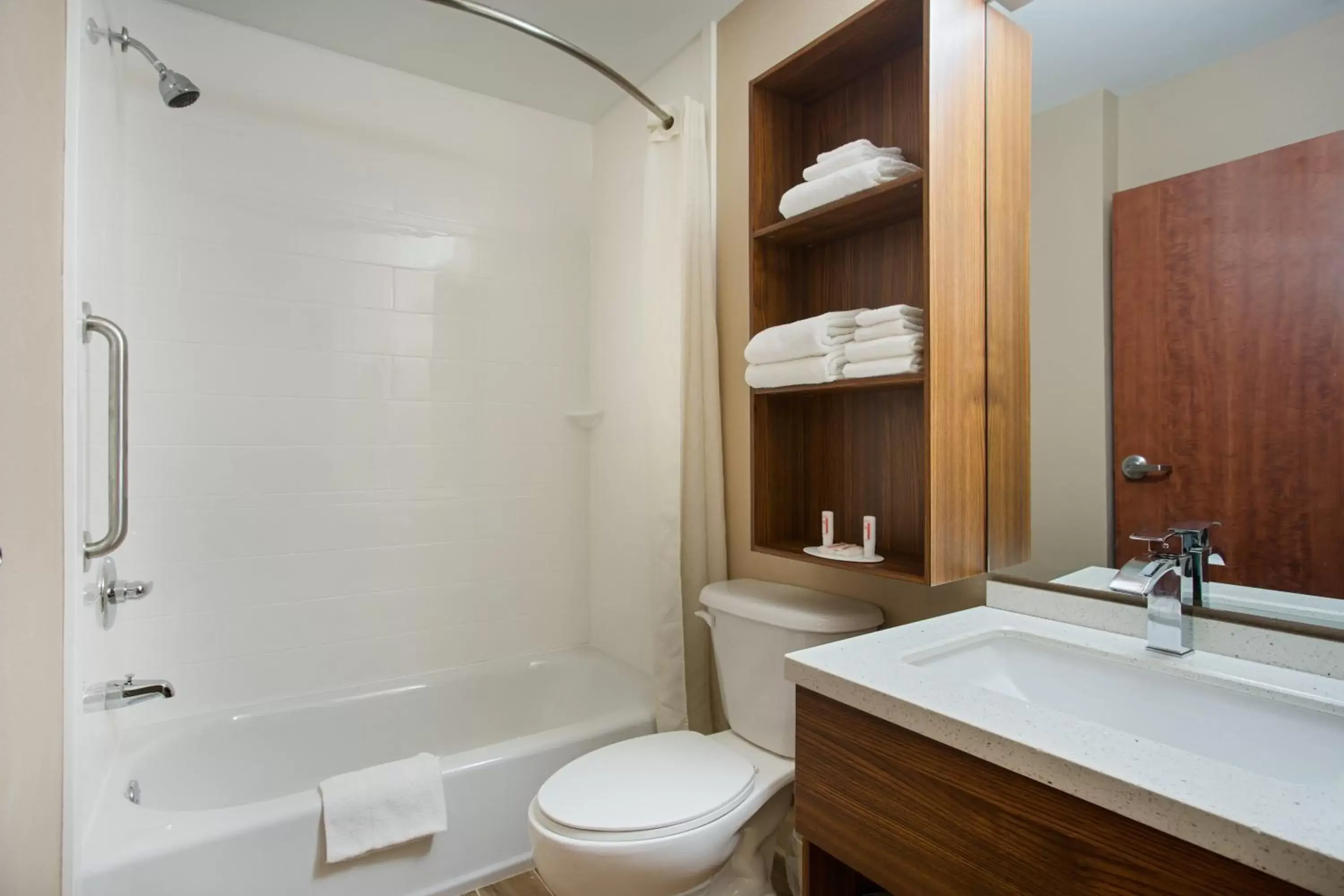 Bathroom in Microtel Inn & Suites by Wyndham Walterboro