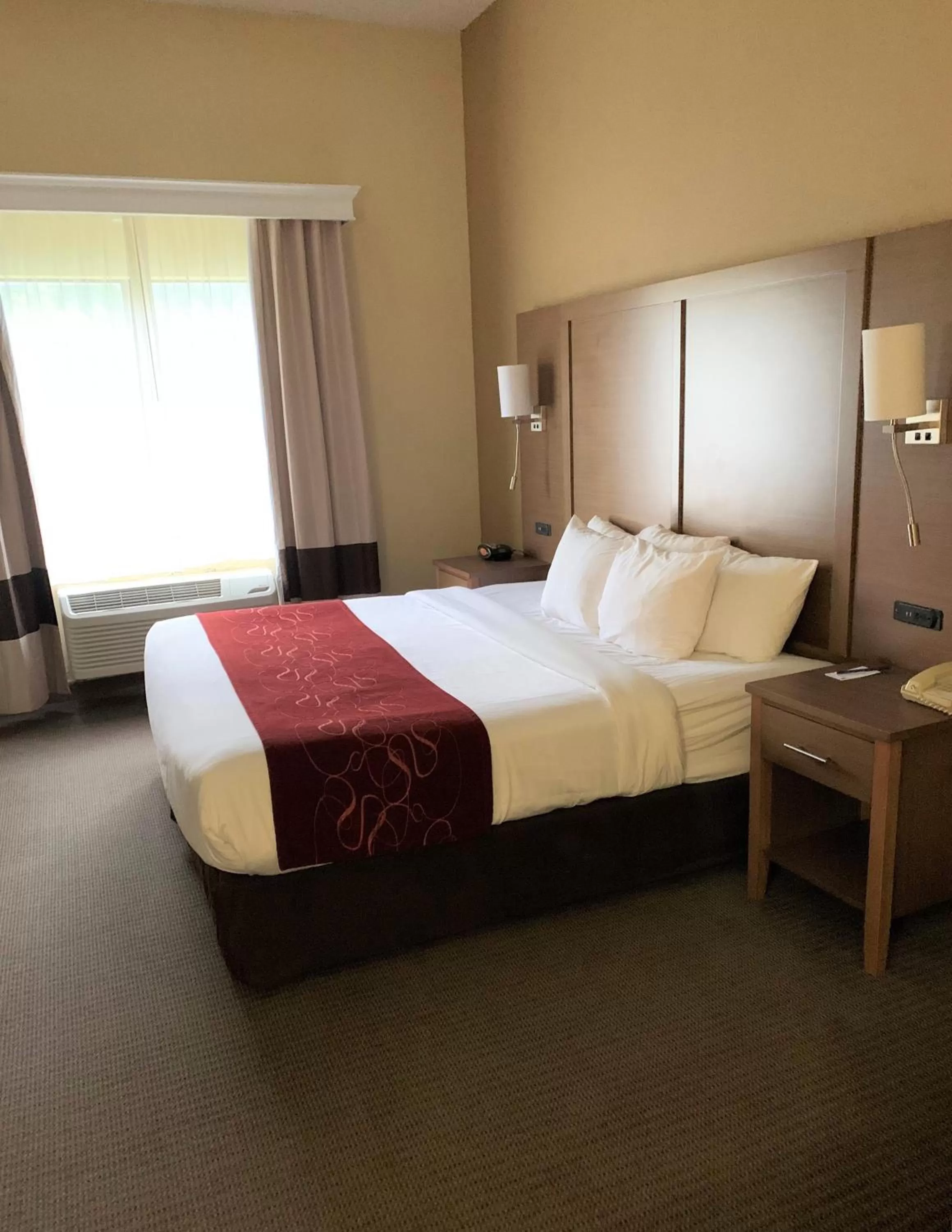 Standard King Suite - Mobility Accessible/Non-Smoking in Comfort Suites Bush Intercontinental Airport