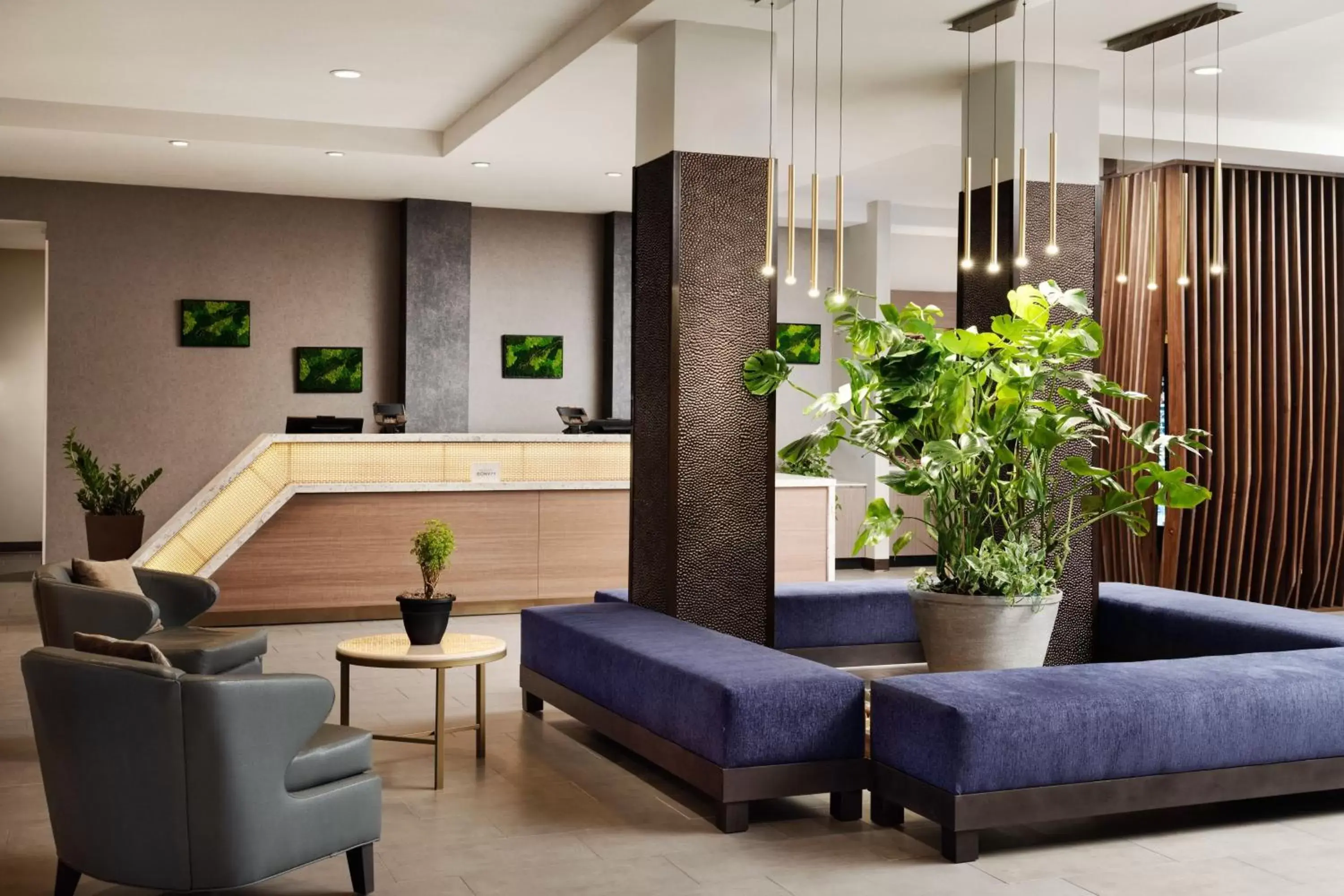 Lobby or reception, Lobby/Reception in SpringHill Suites by Marriott Milpitas Silicon Valley