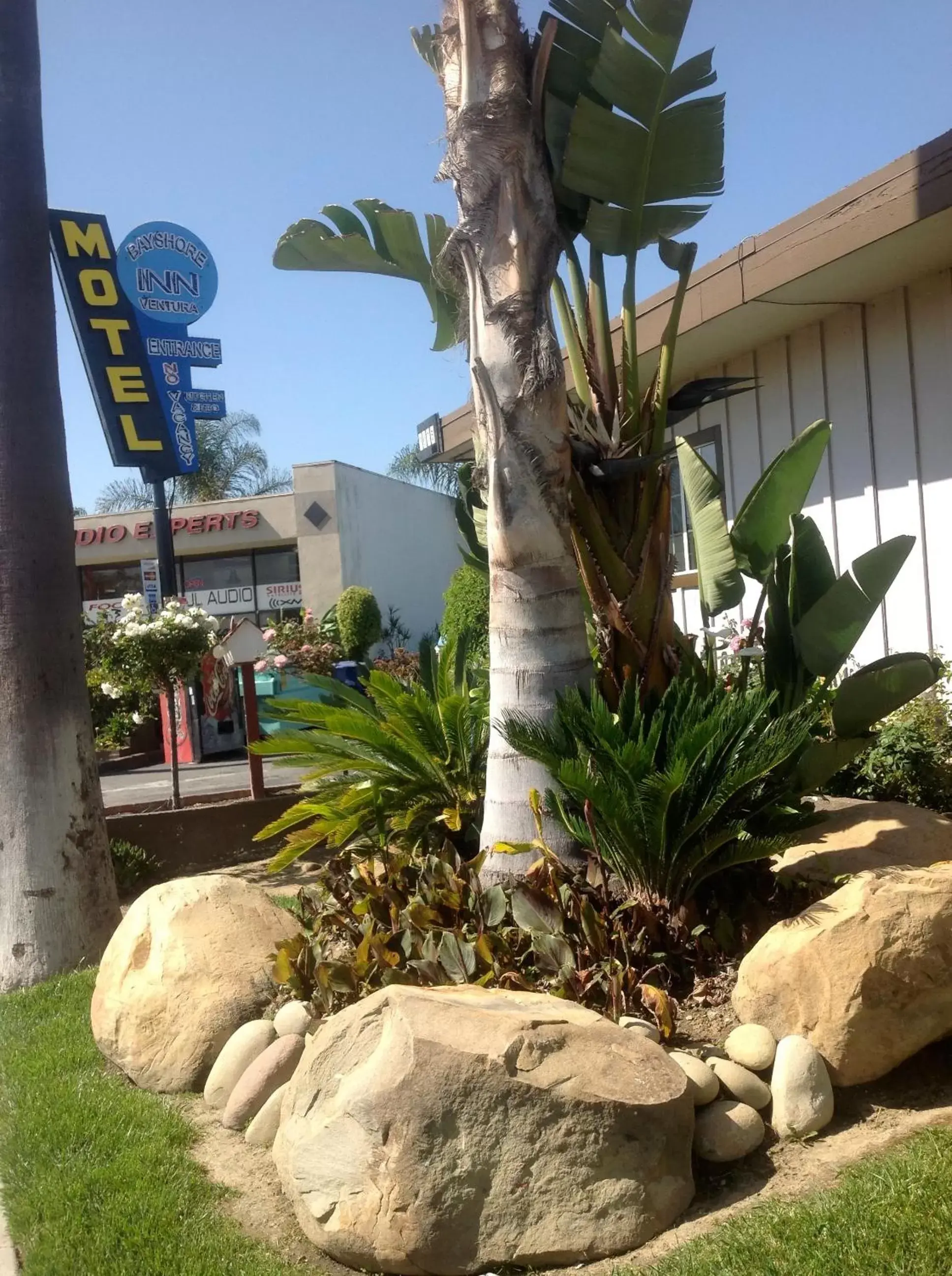 Garden, Property Building in Bayshore Inn Ventura