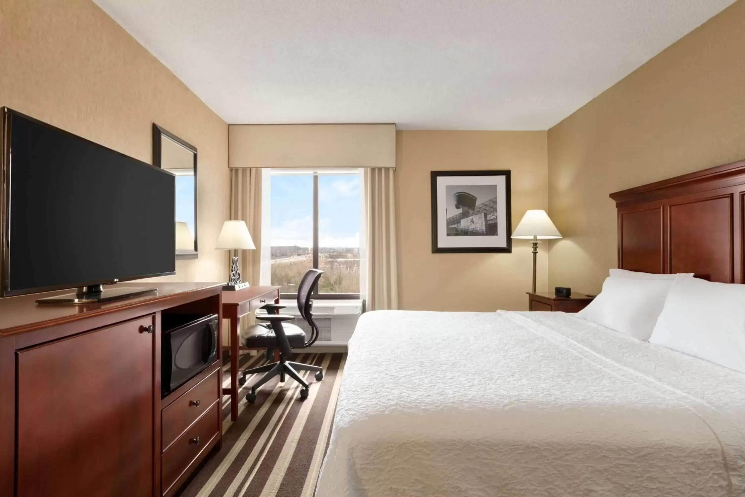 Bed in Hampton Inn Washington-Dulles International Airport South