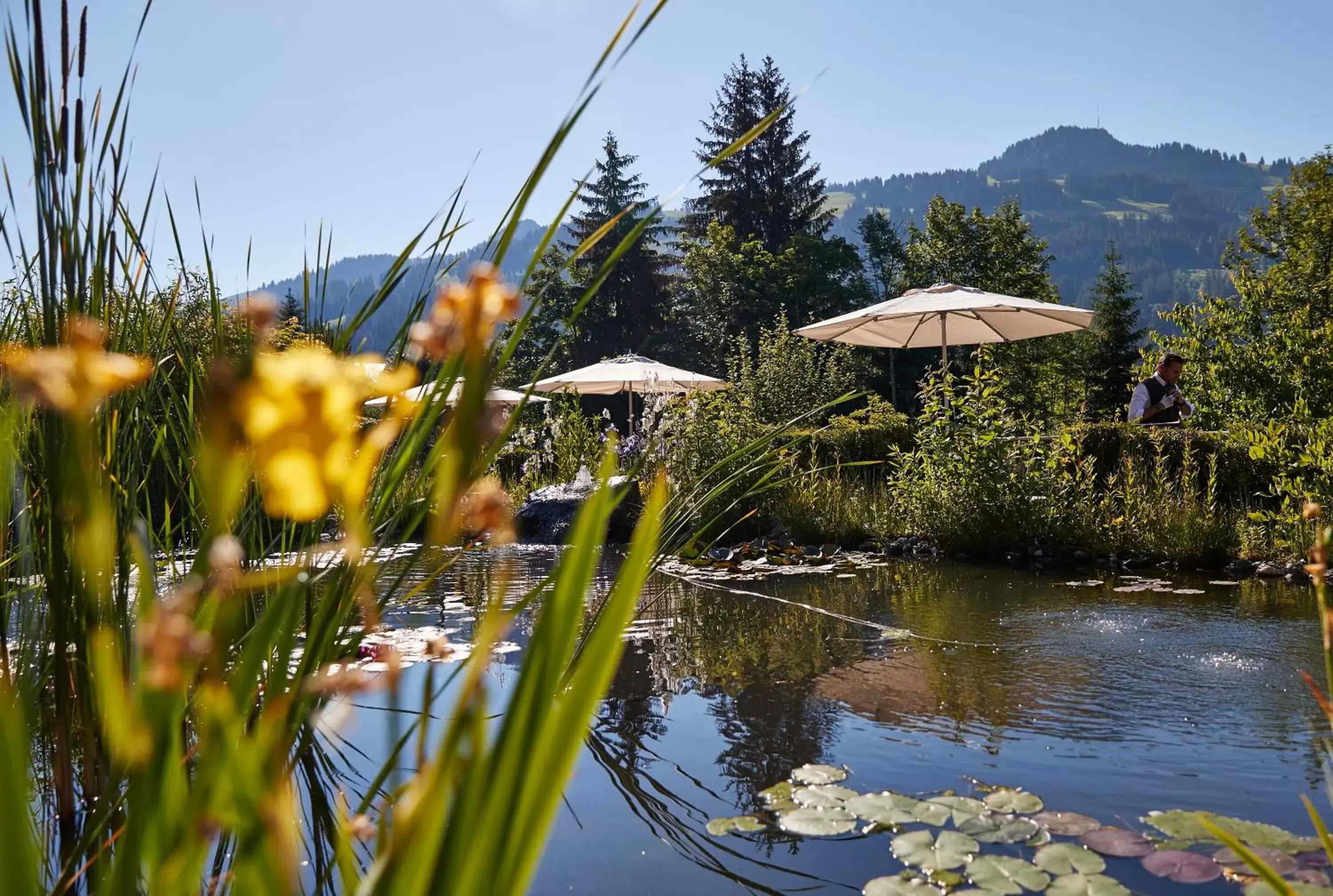 Swimming Pool in ERMITAGE Wellness- & Spa-Hotel