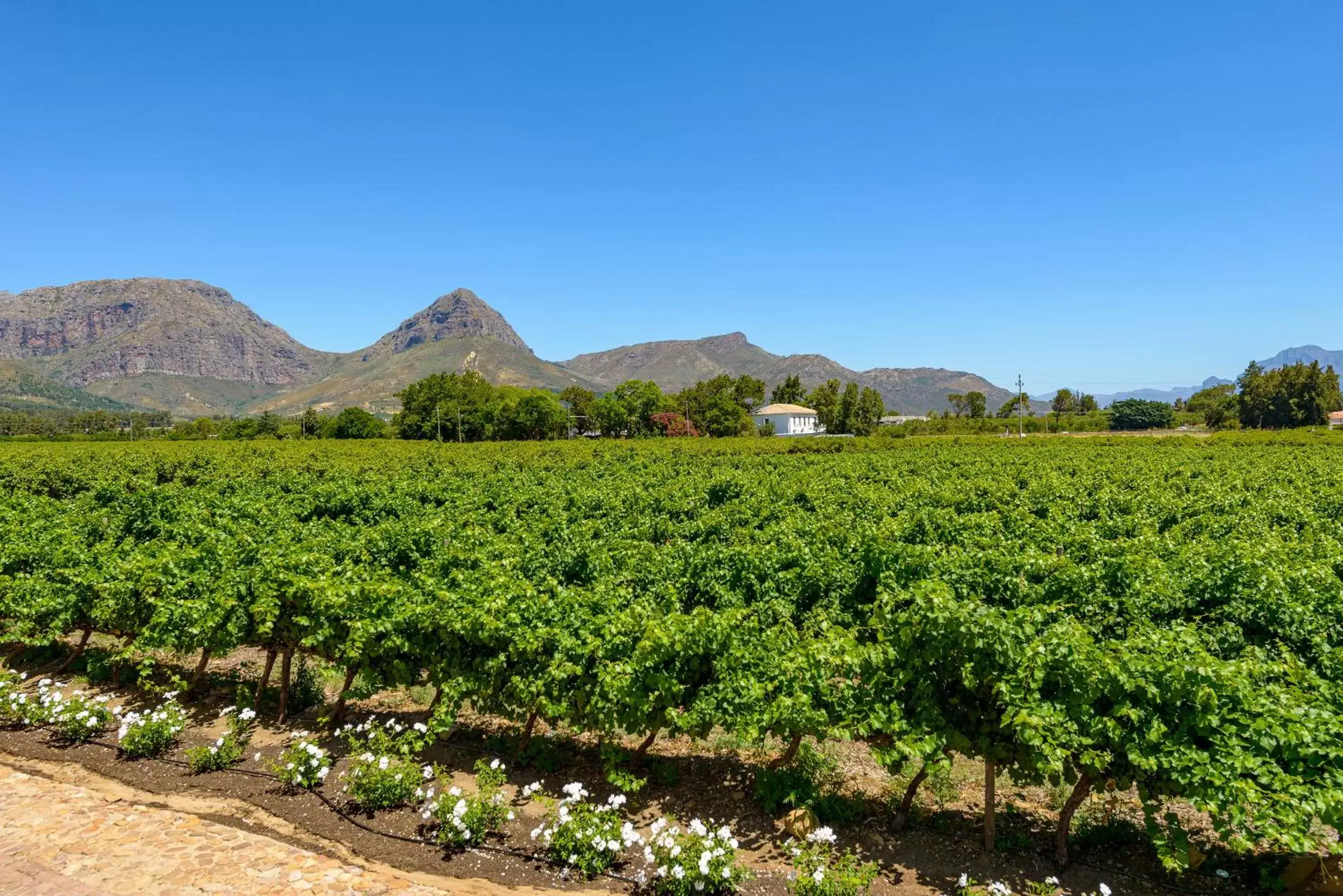 Natural landscape in Adara Palmiet Valley Luxurious Boutique Farm Hotel