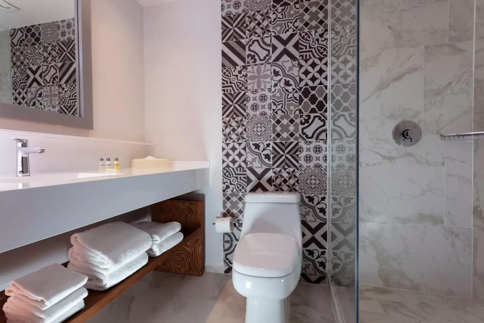 Toilet, Bathroom in Krystal Urban Monterrey San Jeronimo