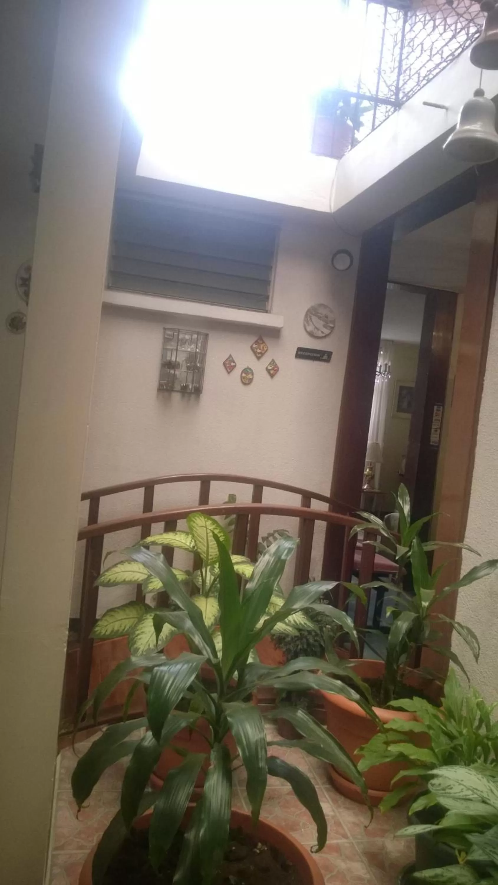 Day in Mariana's Petit Hotel