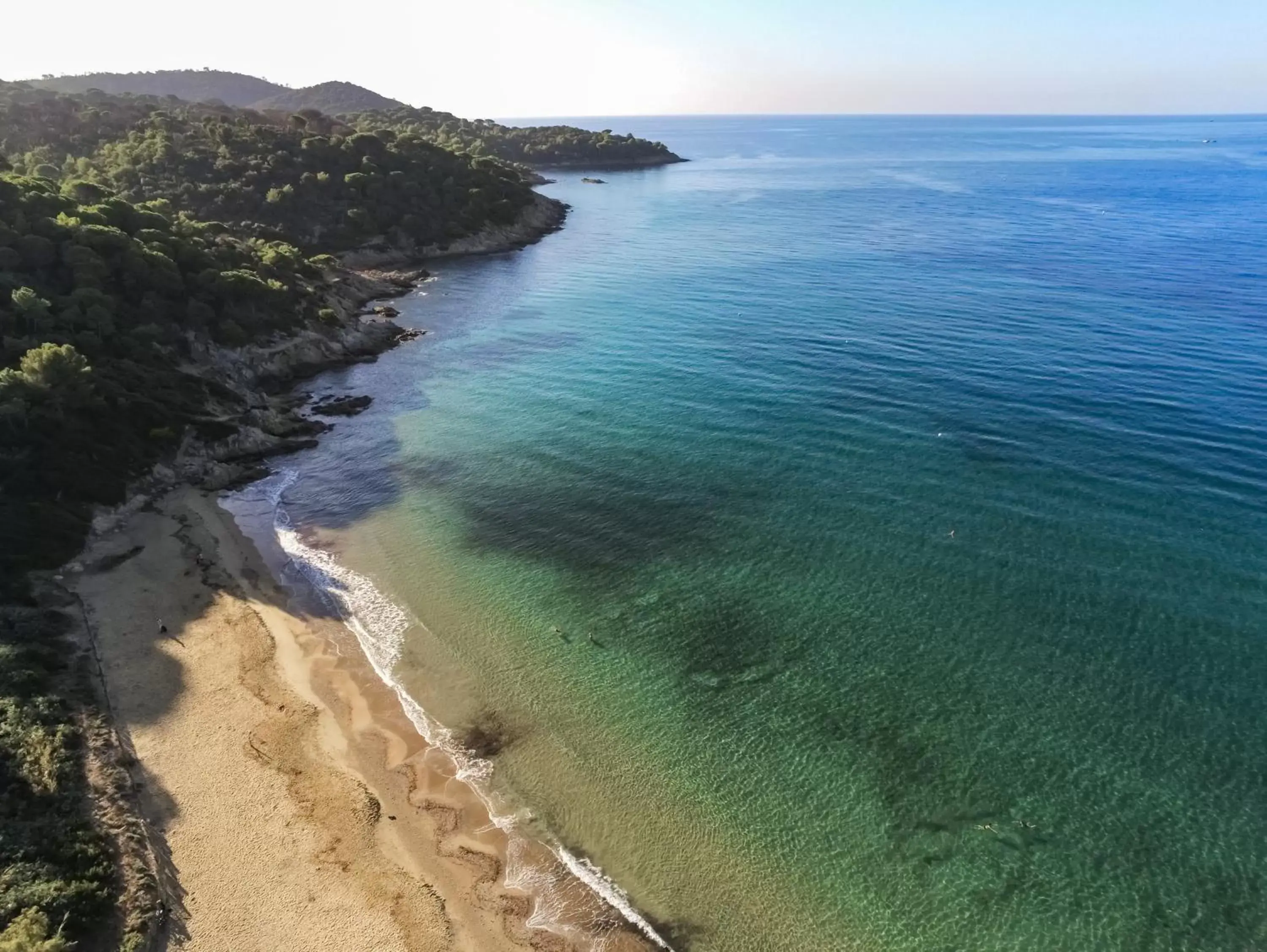 Beach, Bird's-eye View in Lily of the Valley