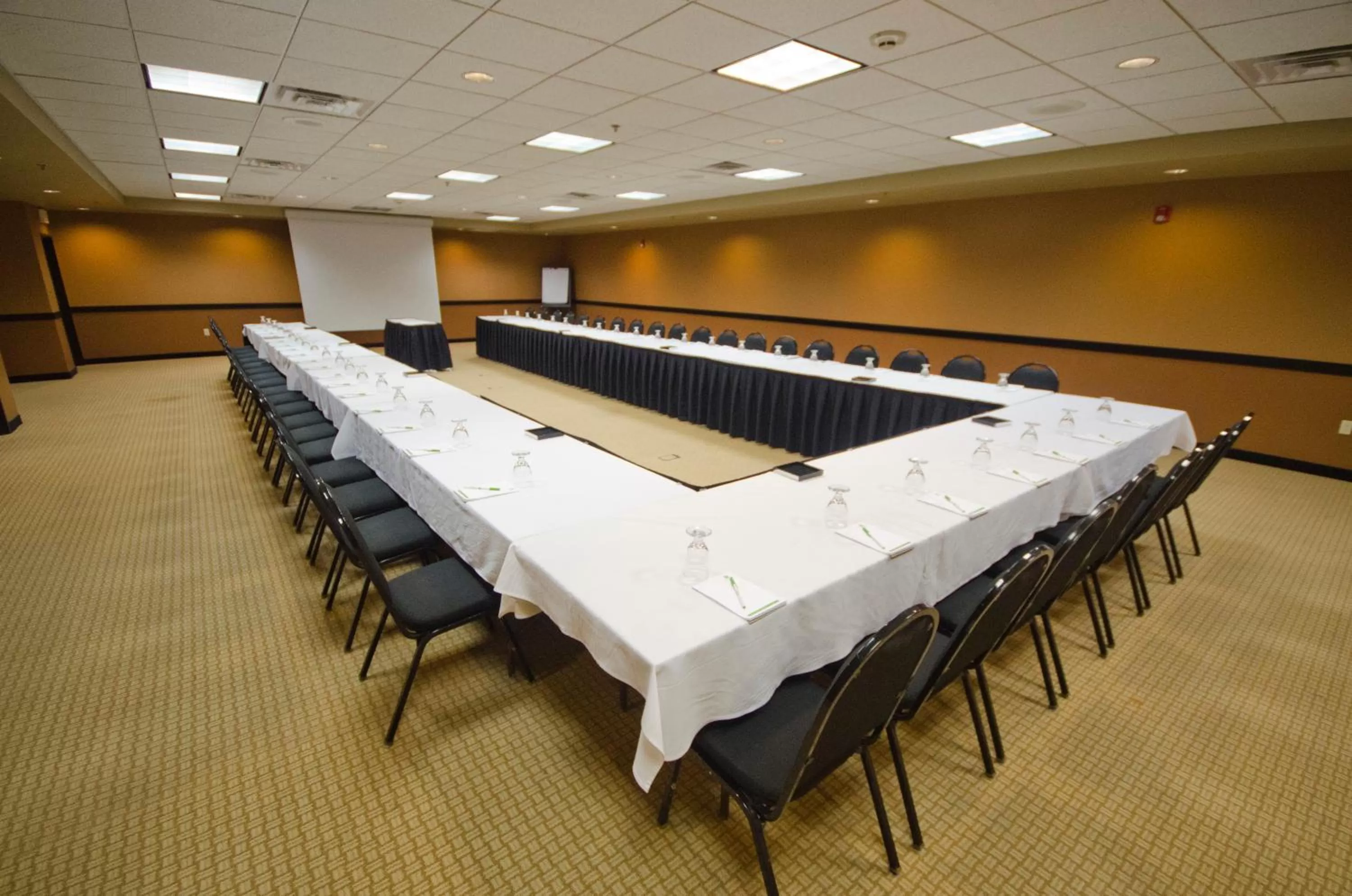 Meeting/conference room in Holiday Inn St. Paul Northeast - Lake Elmo by IHG