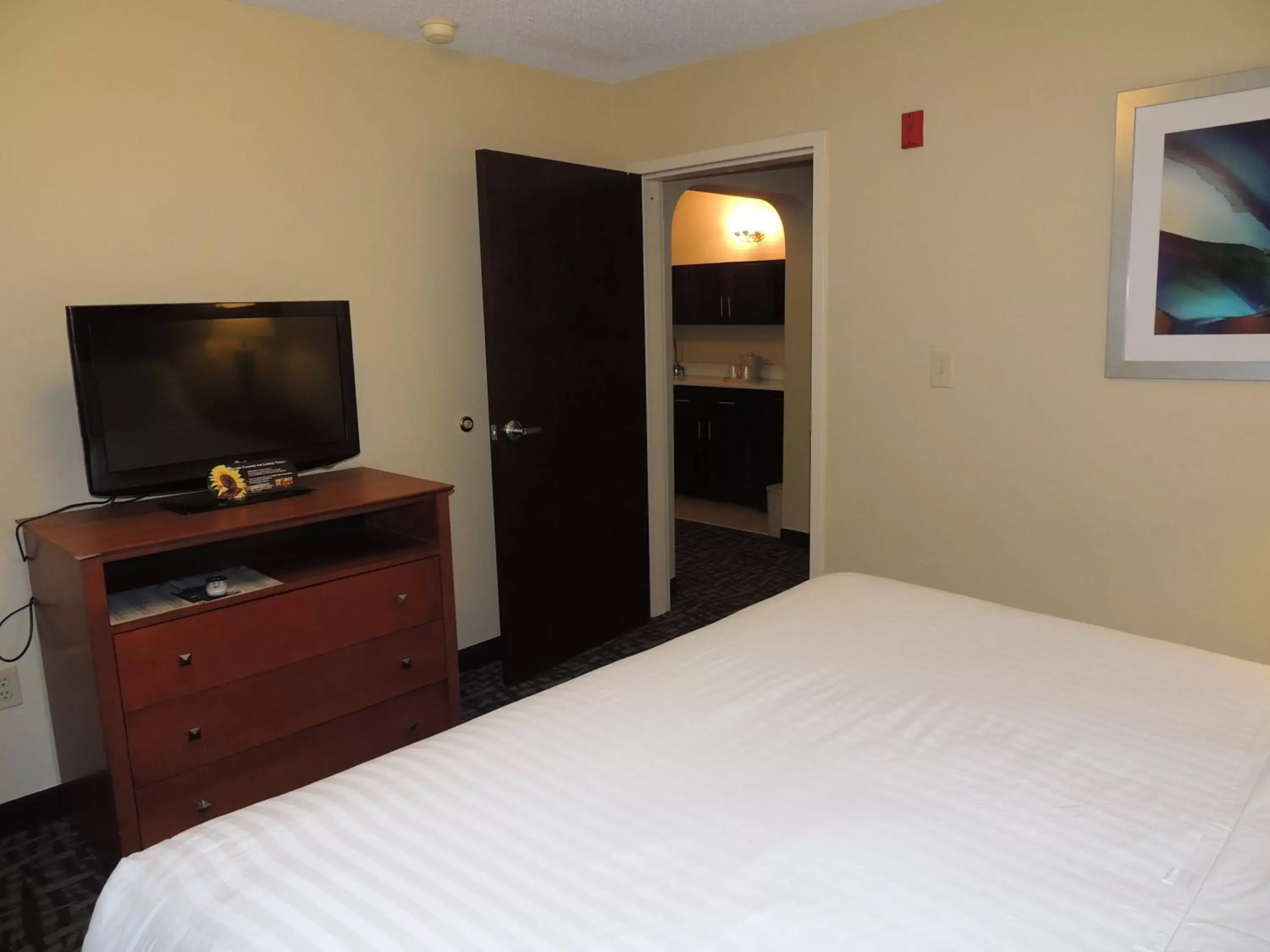 Bedroom, TV/Entertainment Center in Holiday Inn Express Trussville, an IHG Hotel