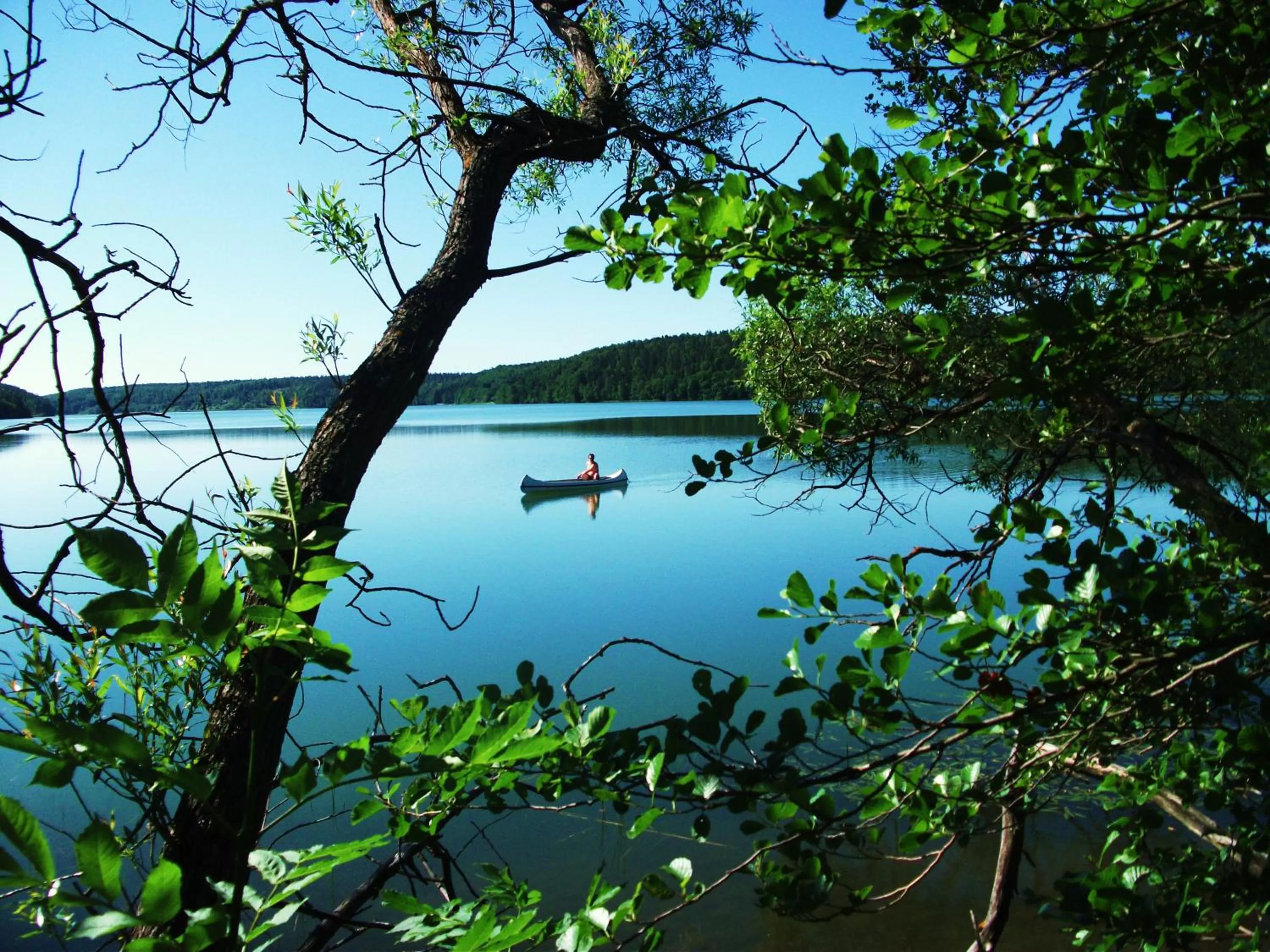 Fishing, Natural Landscape in Woodstock B & B Studios