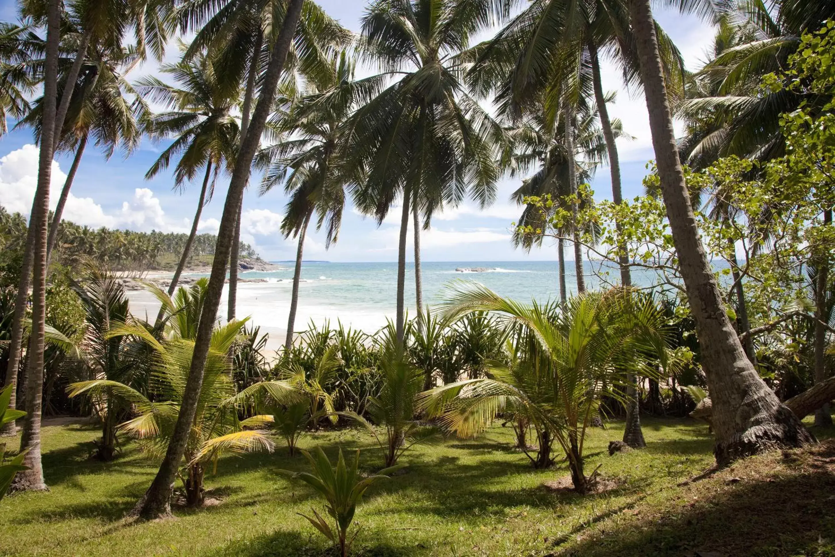 Day in Palm Paradise Cabanas & Villas Beach Resort