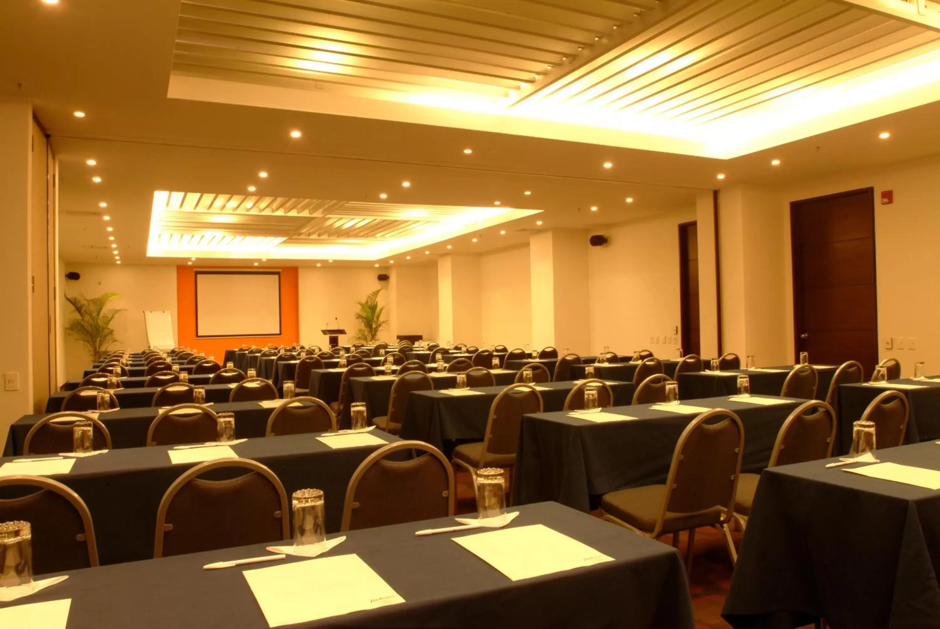 Banquet/Function facilities in Decapolis Hotel Panama City