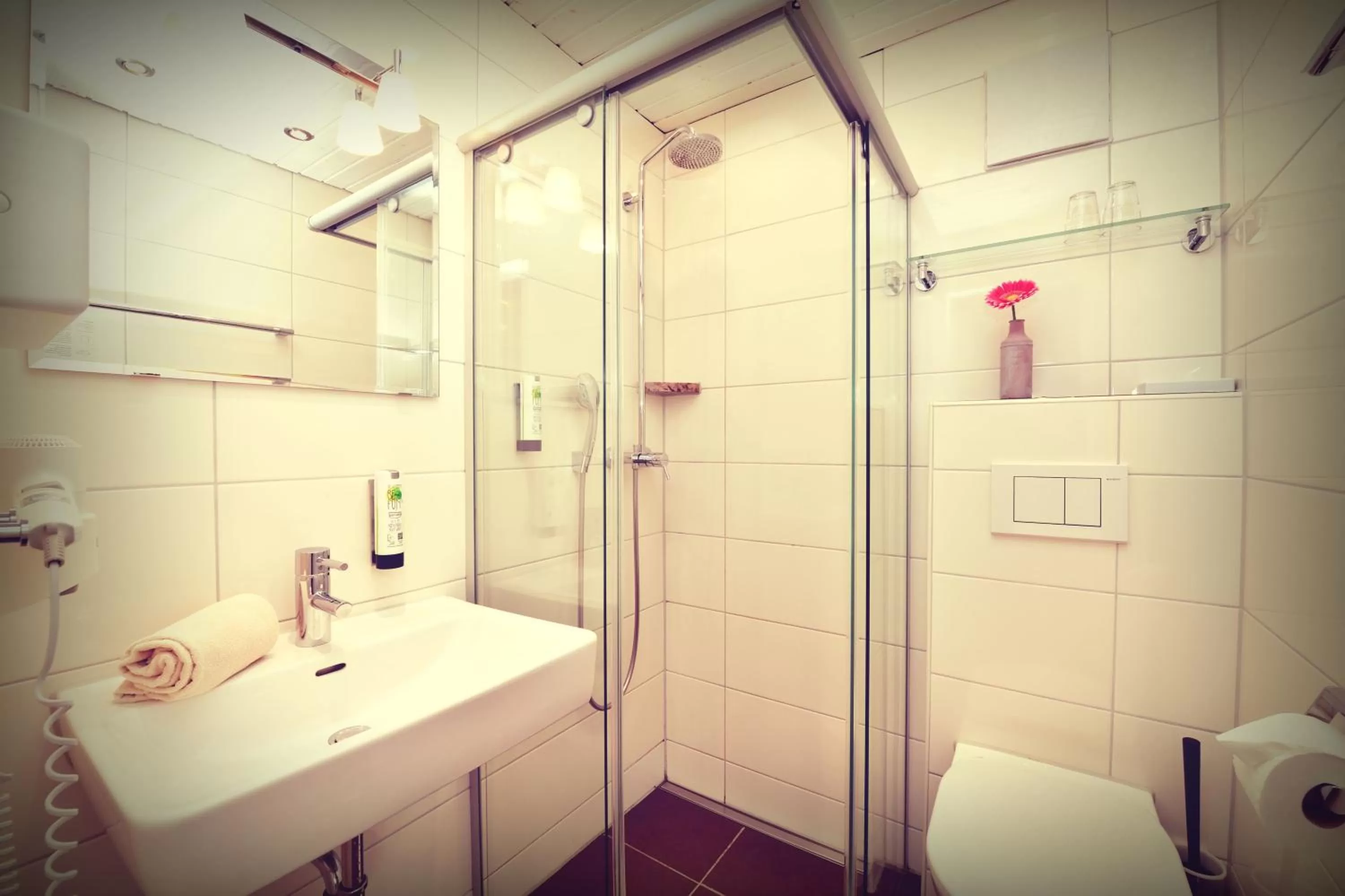 Shower in Hotel Nagel