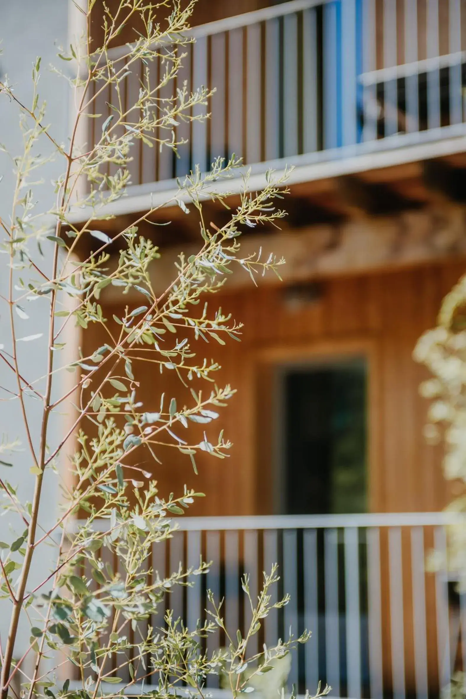 Property building in La Maison Augustine