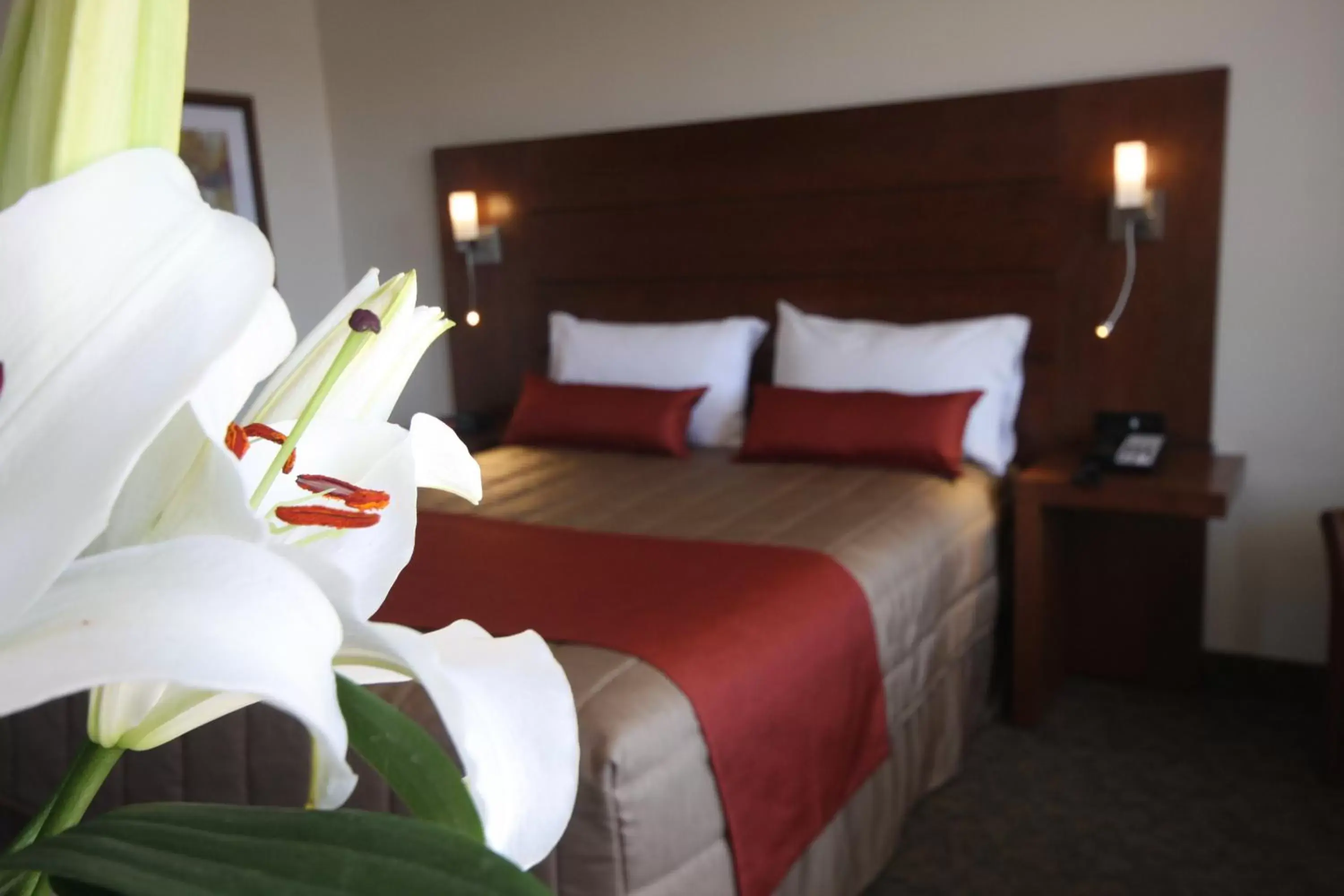 Queen Suite with Spa Bath in Motel Adam Queen Suite with Spa Bath in Motel Adam