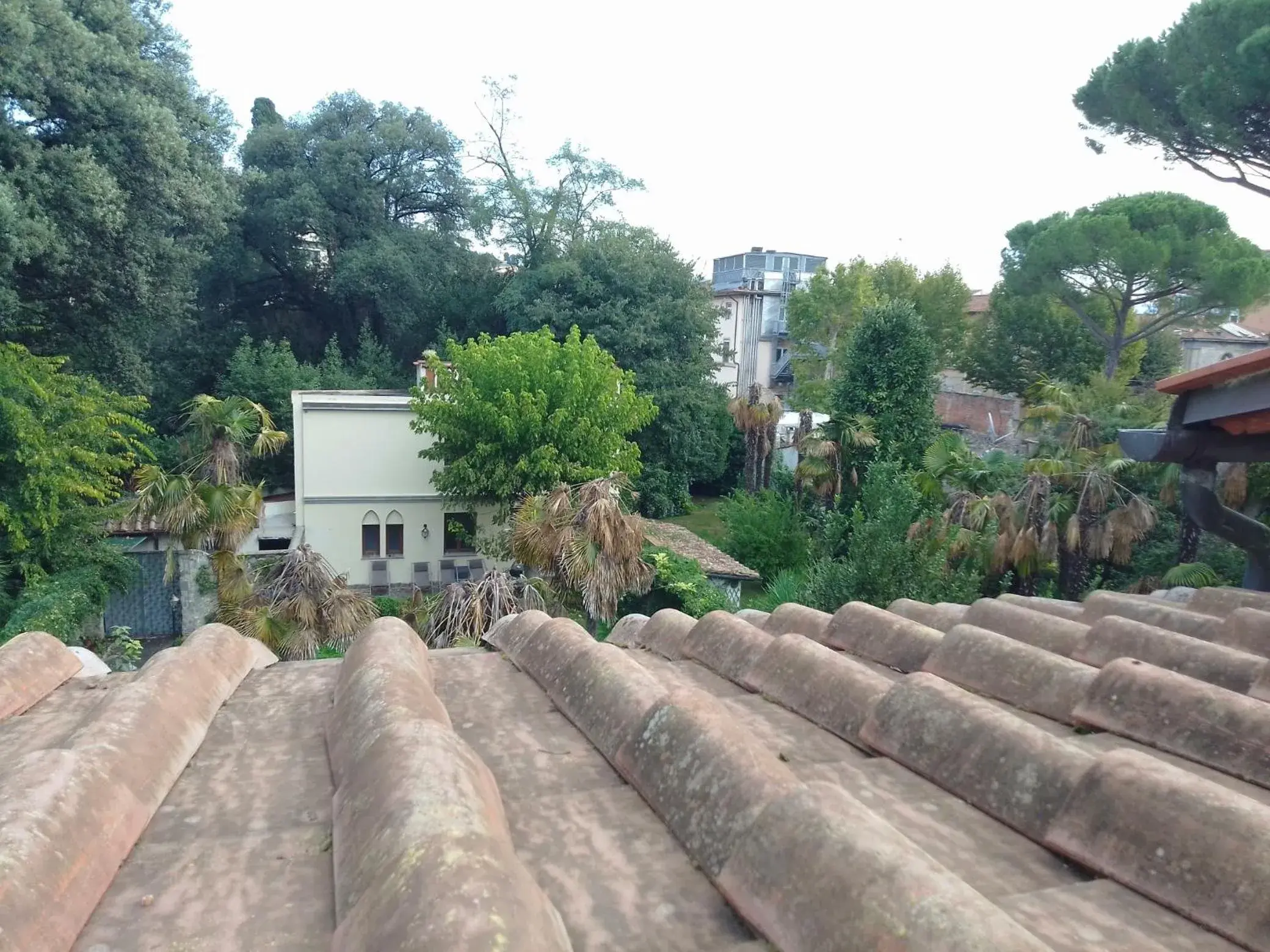 Garden view in Relais La Corte di Cloris