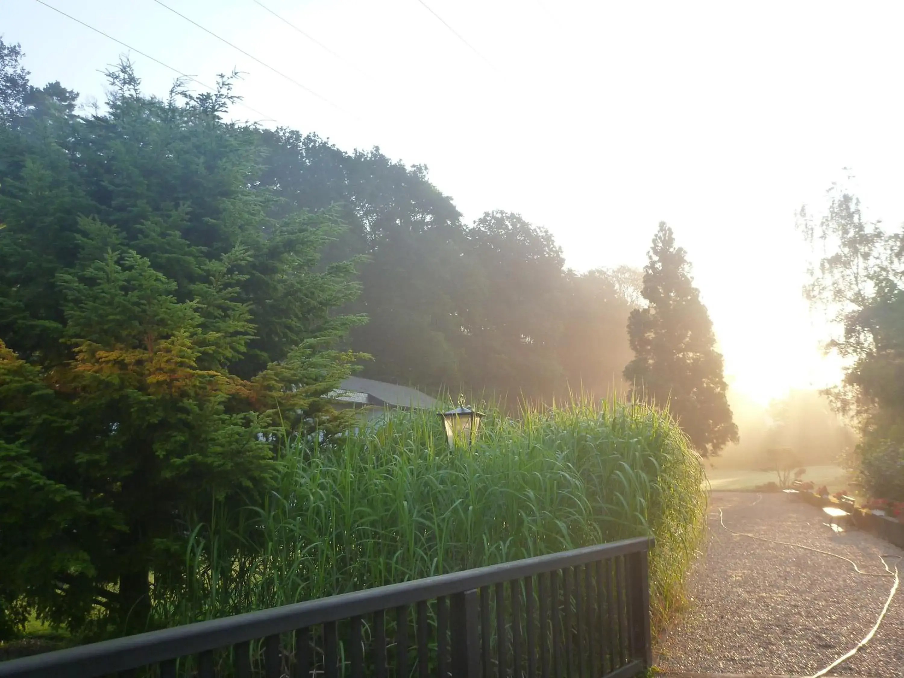 Garden in Romantik Waldhotel Mangold