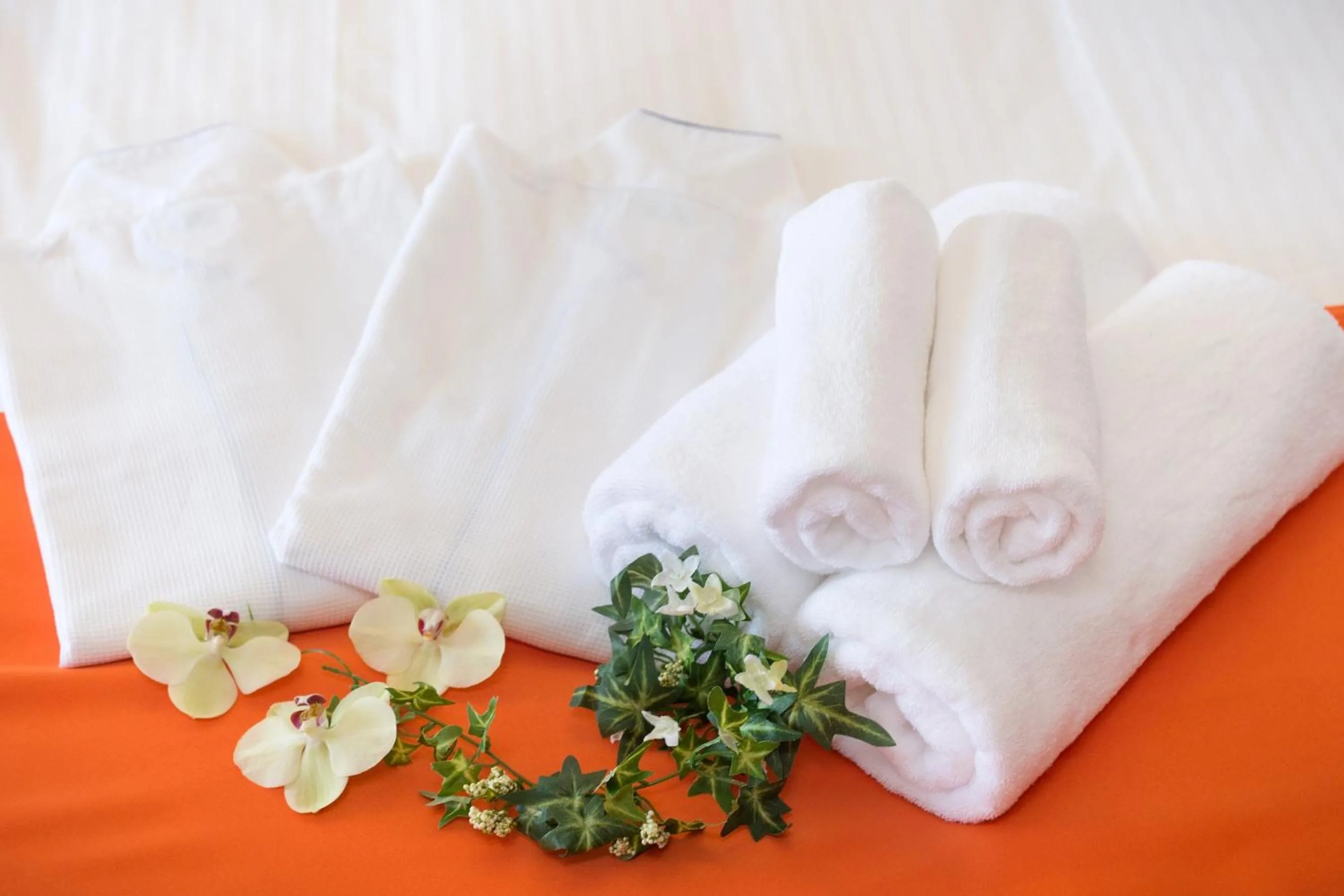 Terrace Kiyomizu Kyoto