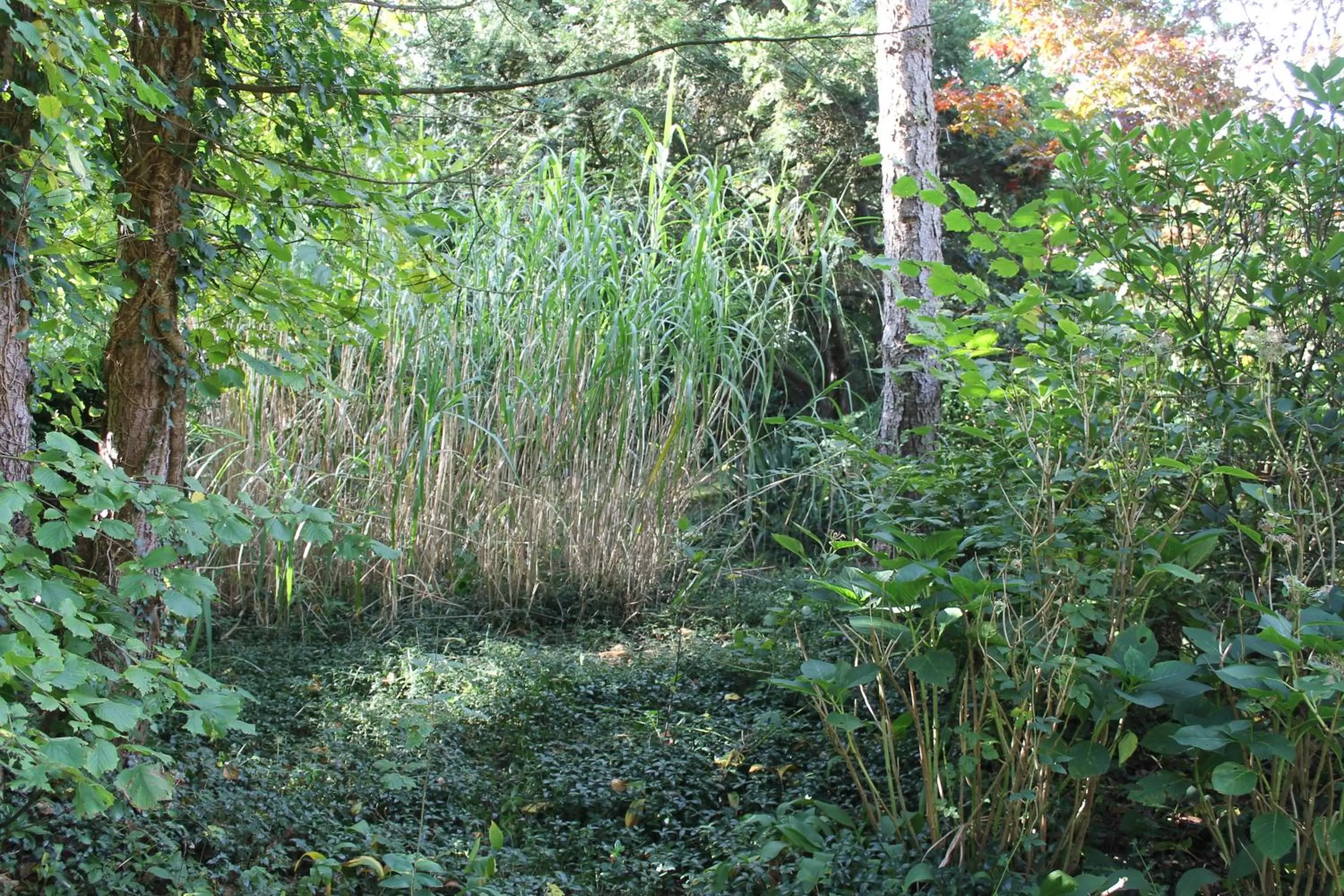 Garden in Beau Reg'Art