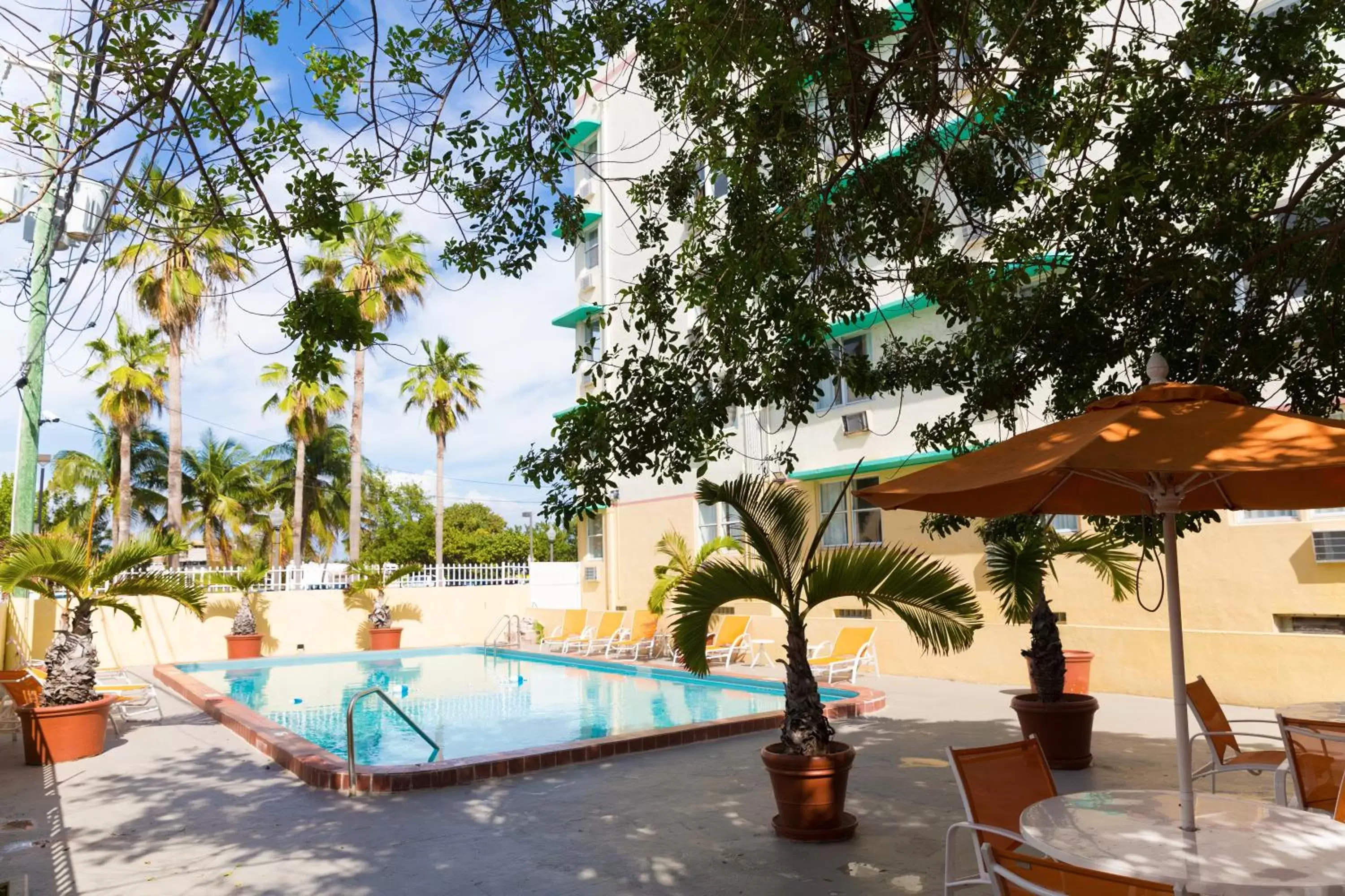 Pool view, Swimming Pool in Broadmore Miami Beach