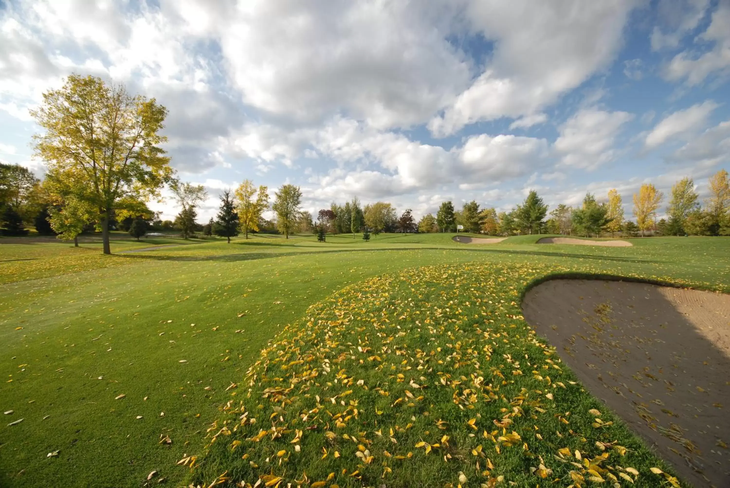 Golfcourse in The Essex Resort & Spa