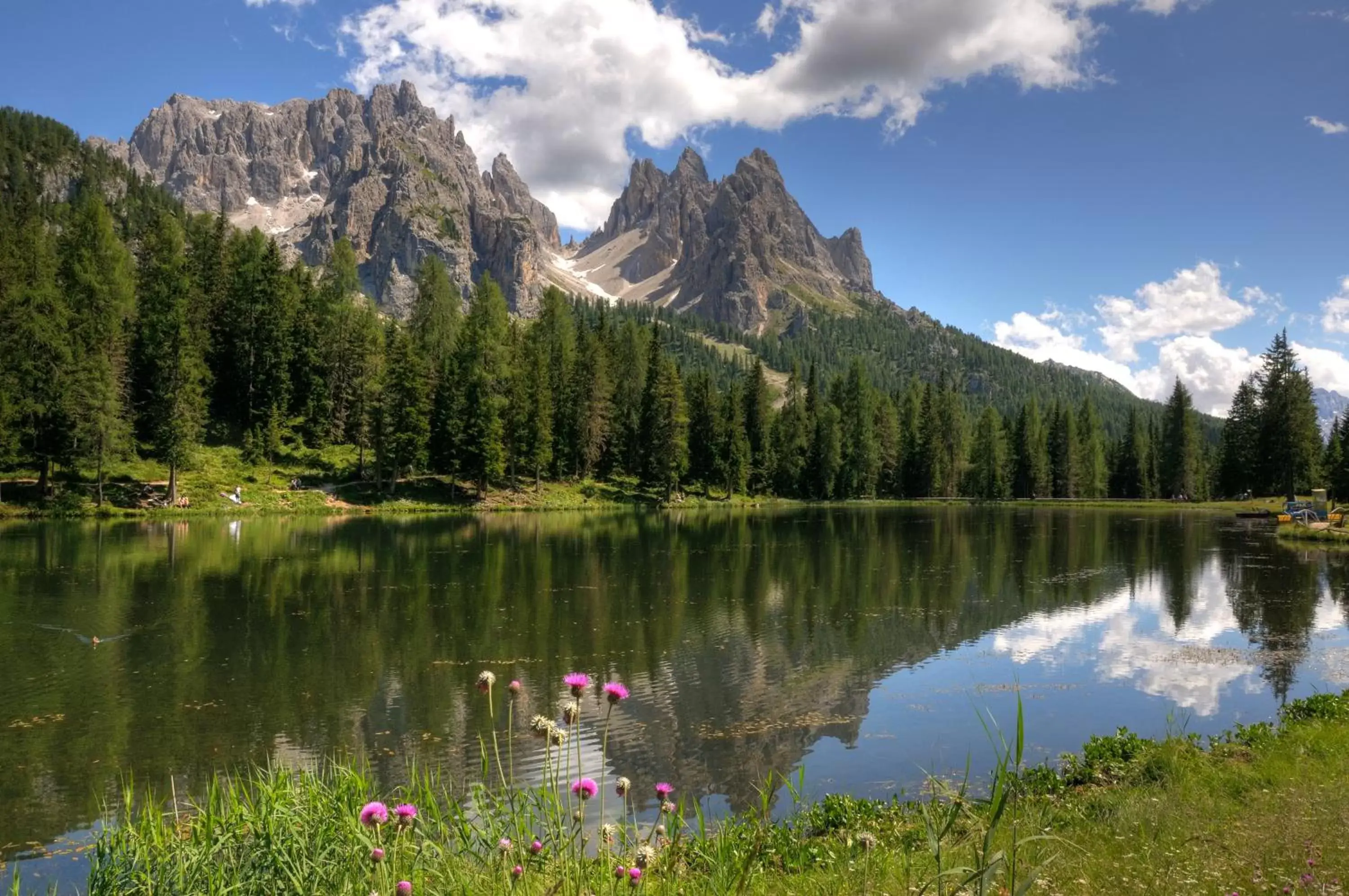 Natural Landscape in Hotel ANDER