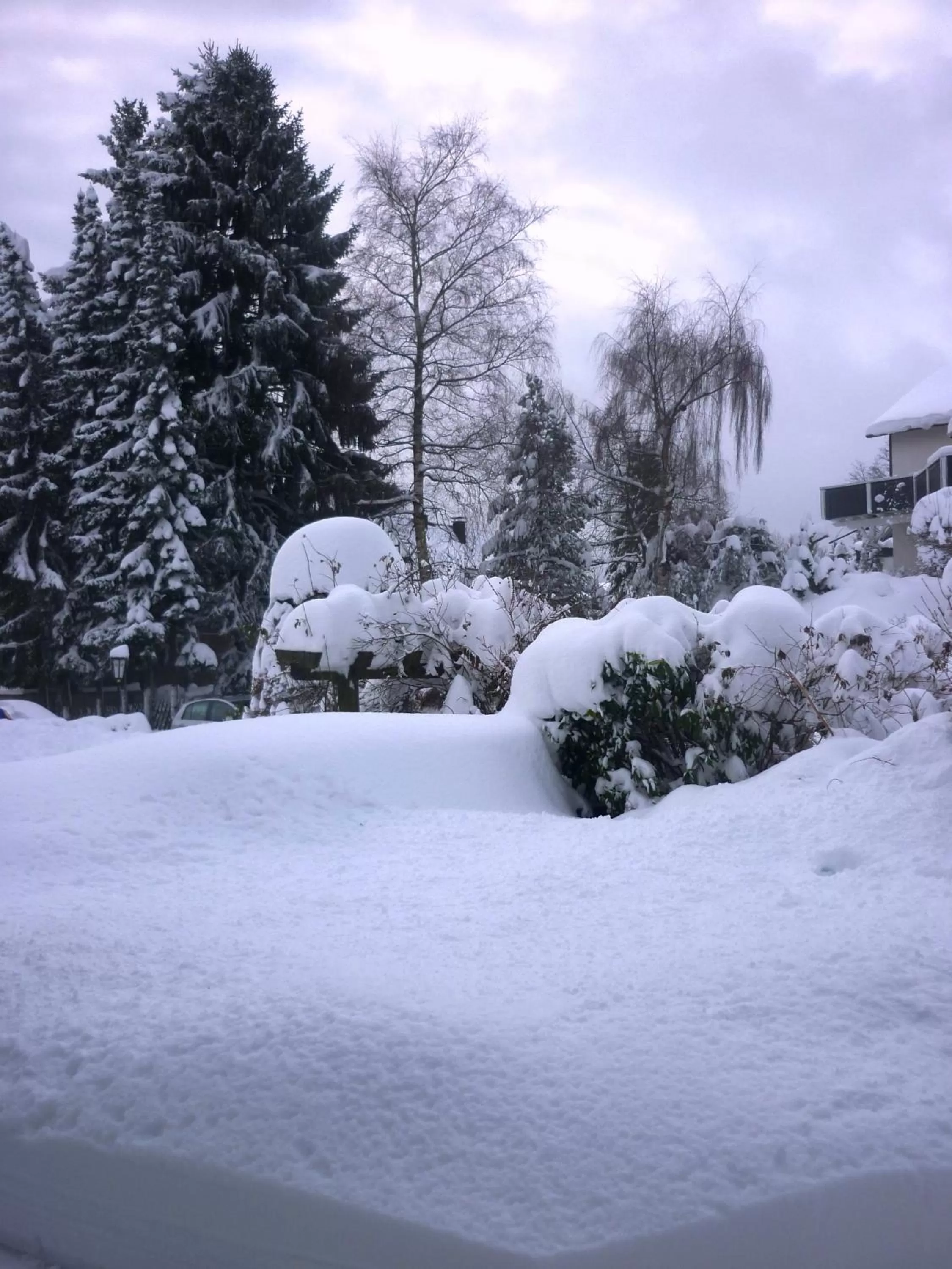 Natural landscape in Hotel Forsthaus