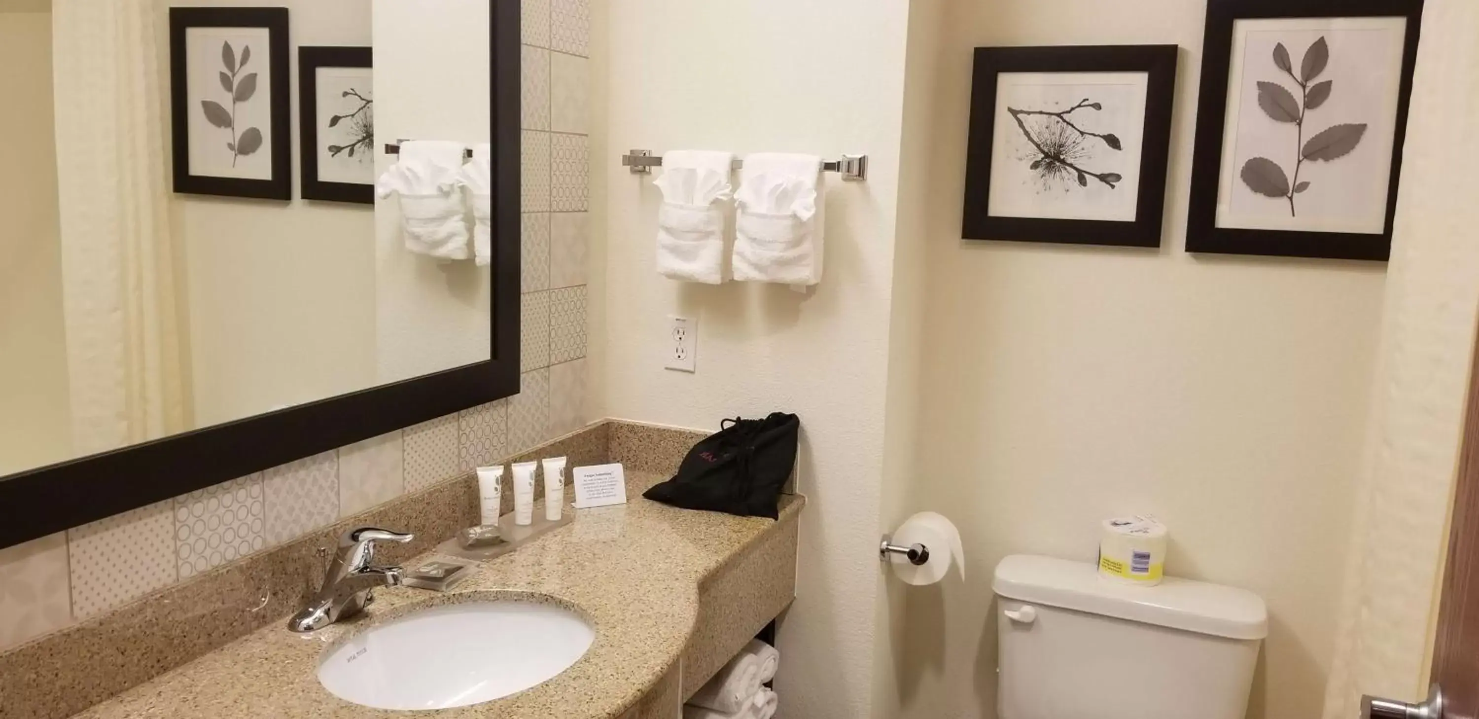 Toilet, Bathroom in Country Inn & Suites by Radisson, Canton, GA