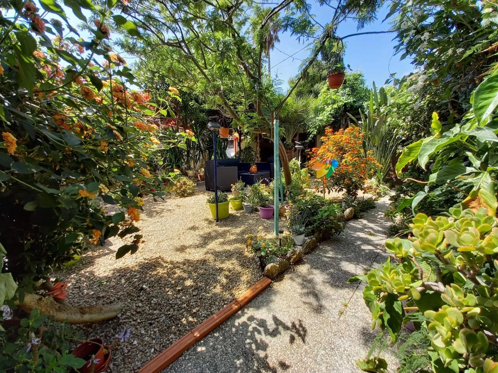 Garden in Bed & Breakfast Paui