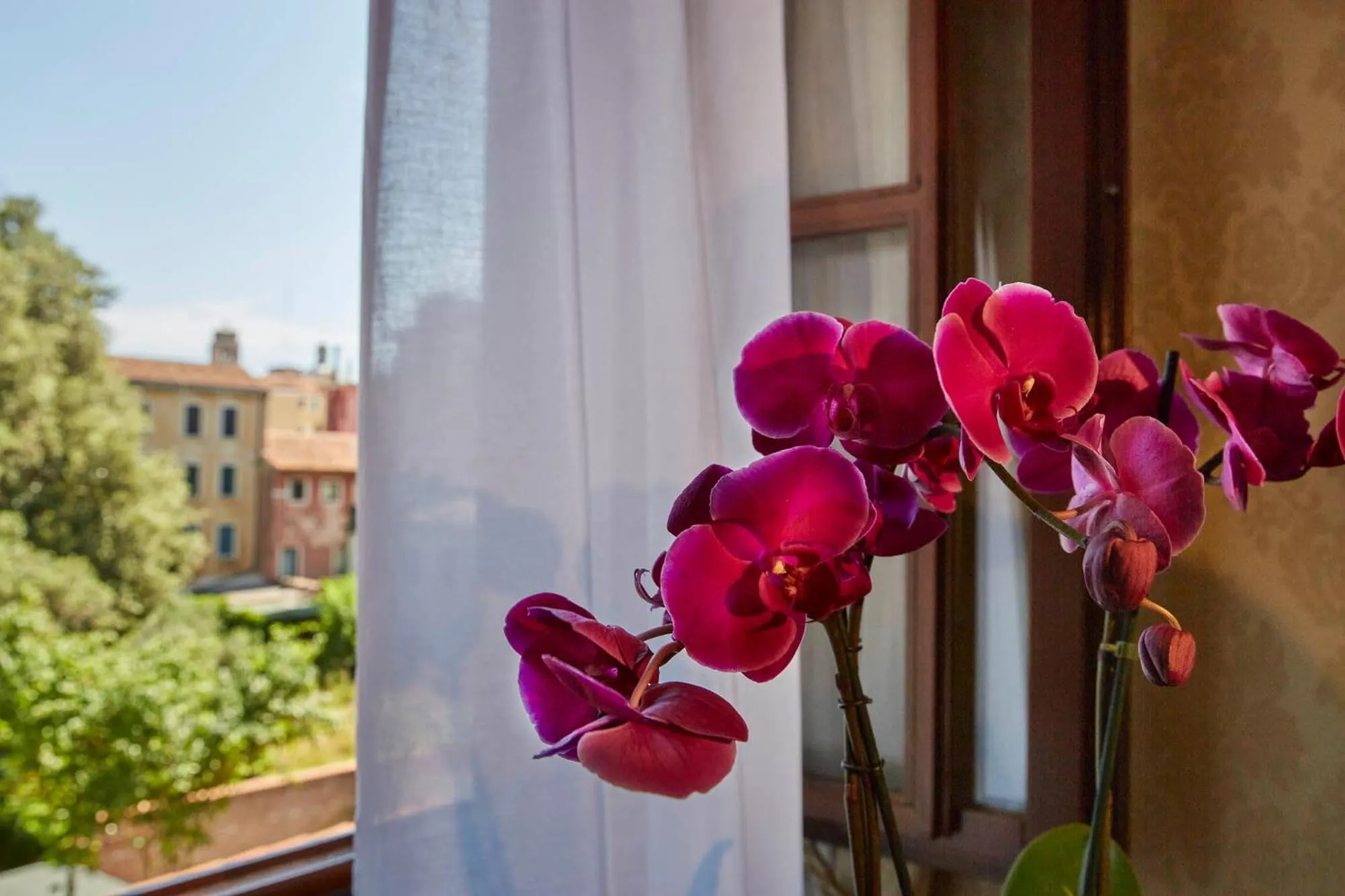 View (from property/room) in Hotel Orsaria