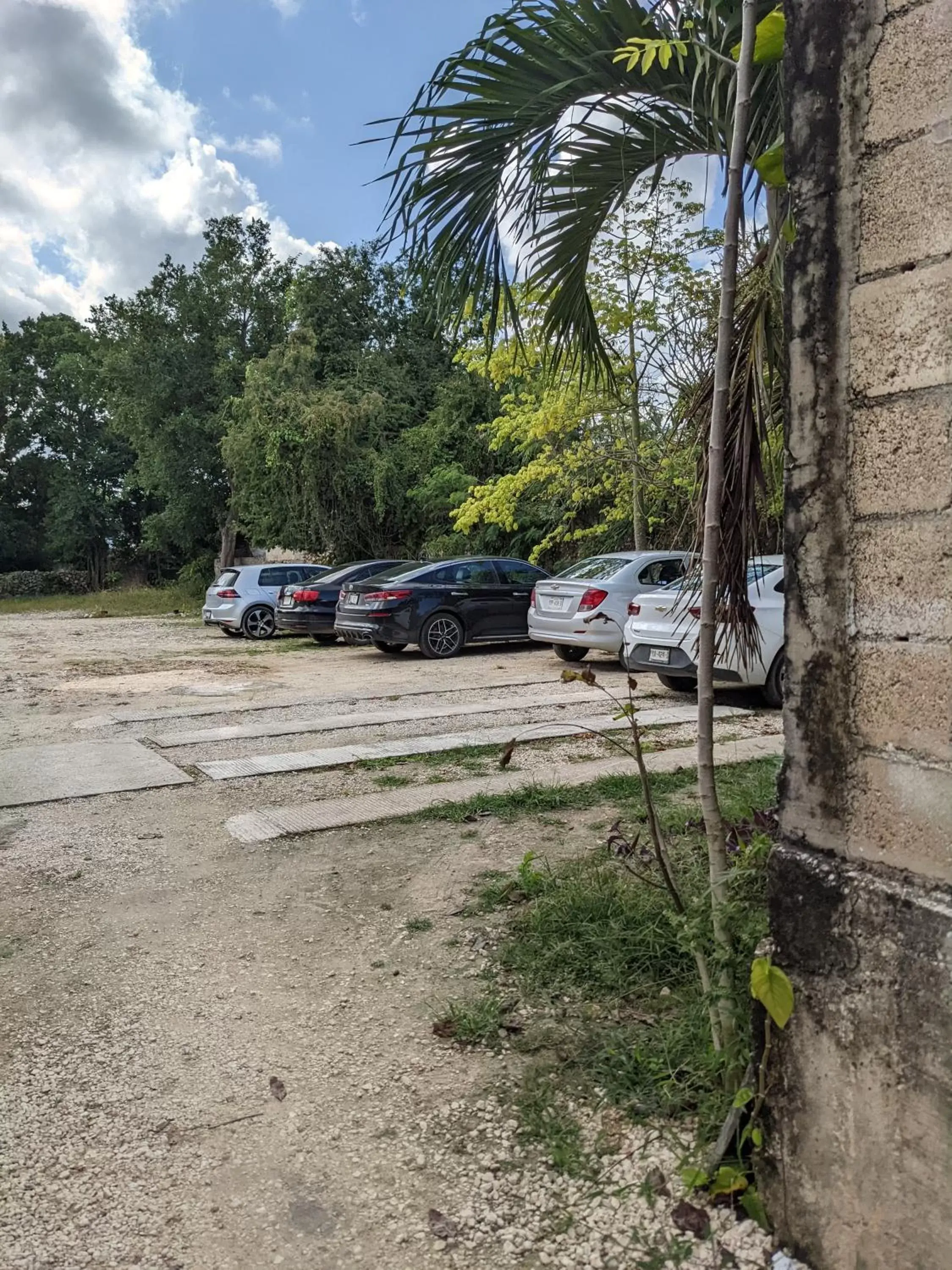 Parking, Garden in Casa Aluxes Hotel