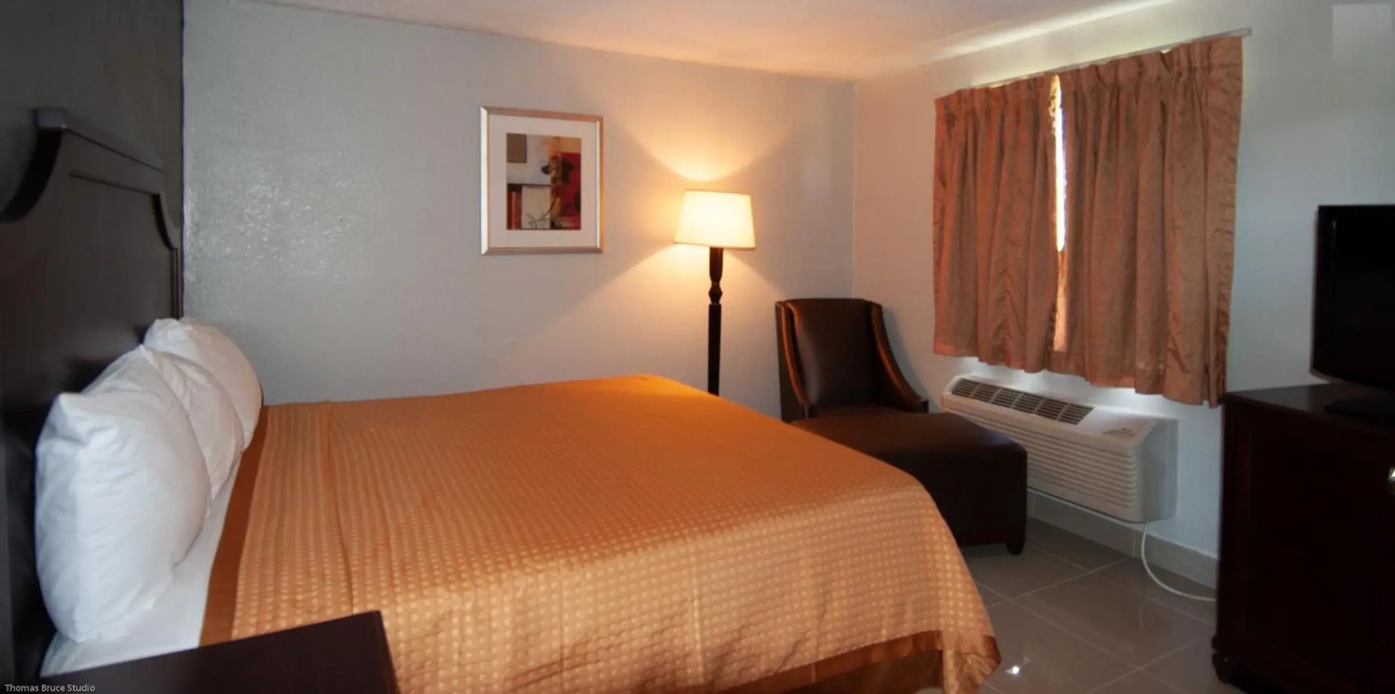 Bed in Express Inn & Suites - 5 Miles from St Petersburg Clearwater Airport