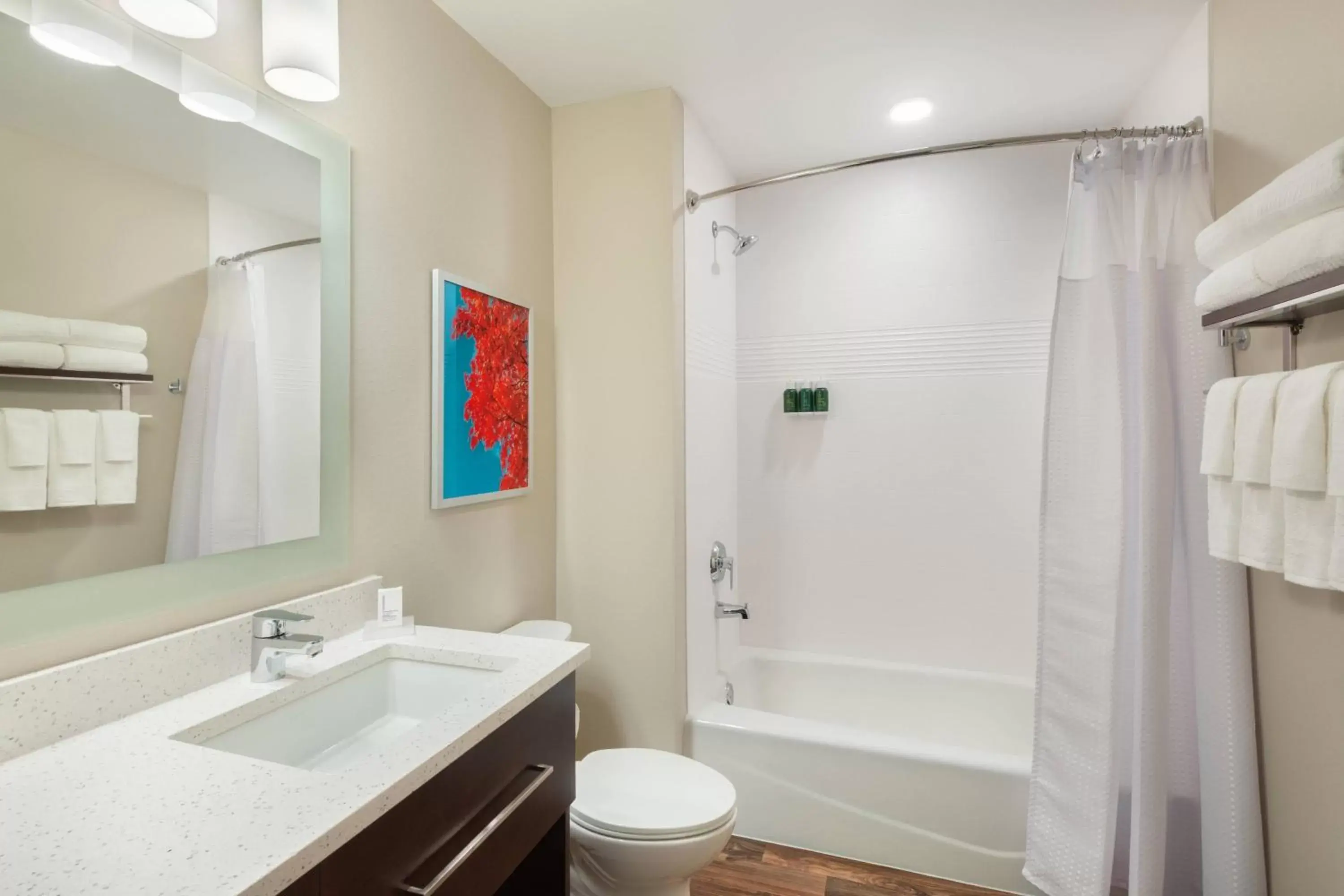 Bathroom in TownePlace Suites Atlanta Lawrenceville