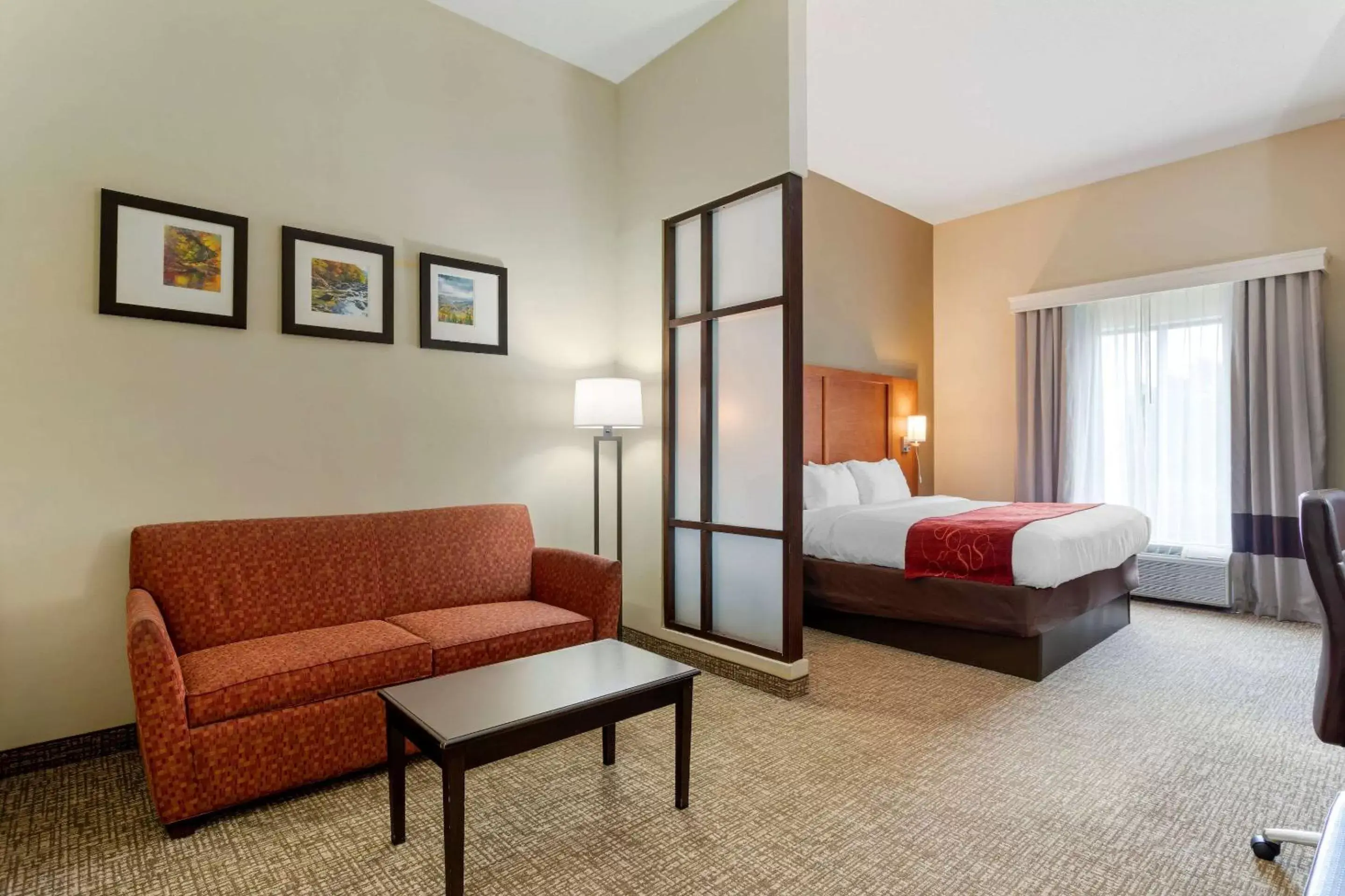 Photo of the whole room in Comfort Suites Kingsport