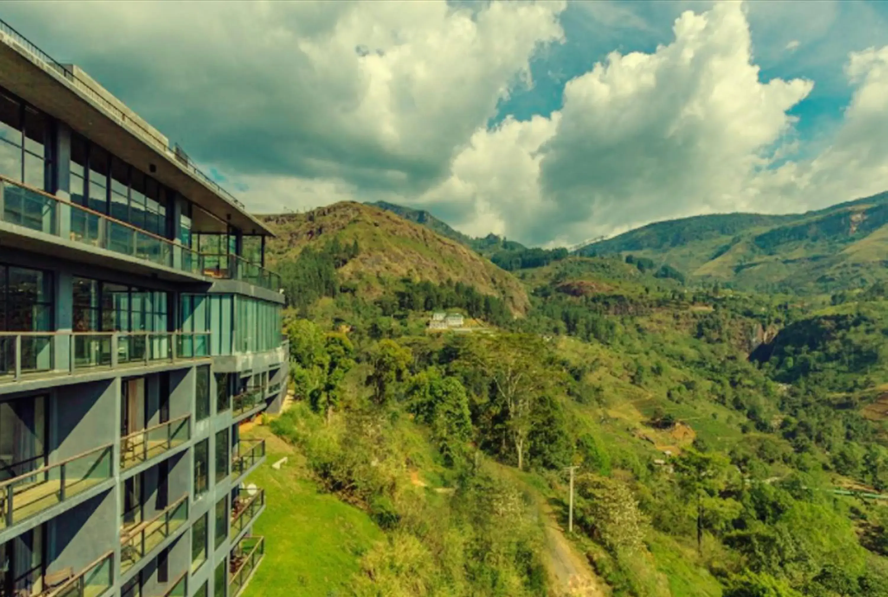 Mountain view in Oak Ray Hotel - Tea Bush Ramboda