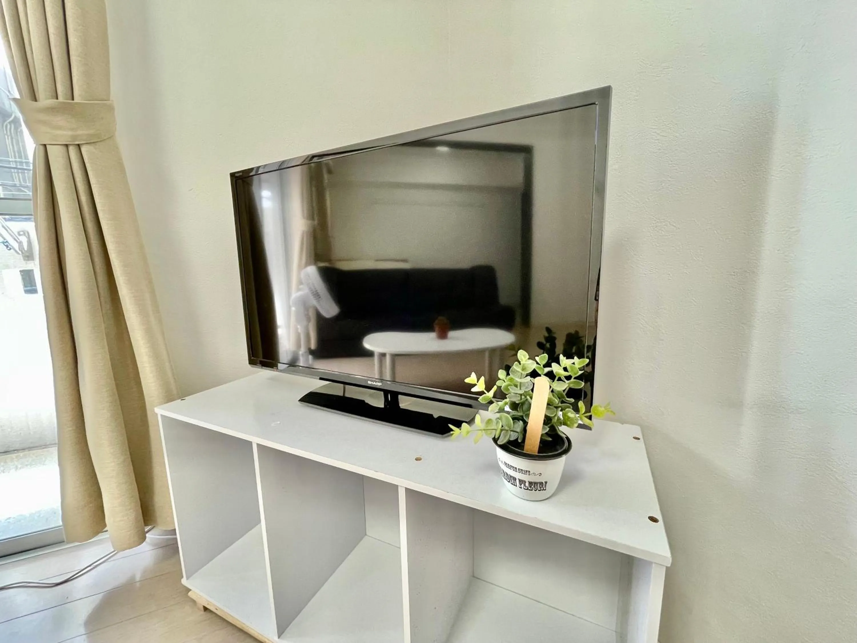 TV and multimedia in Villa Izumizaki