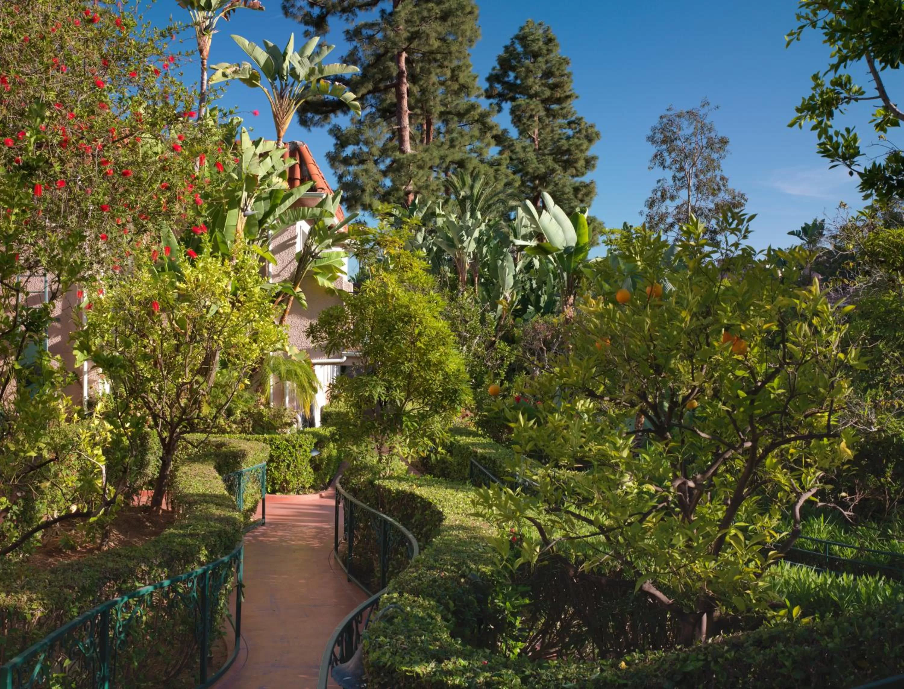 Garden in The Beverly Hills Hotel - Dorchester Collection