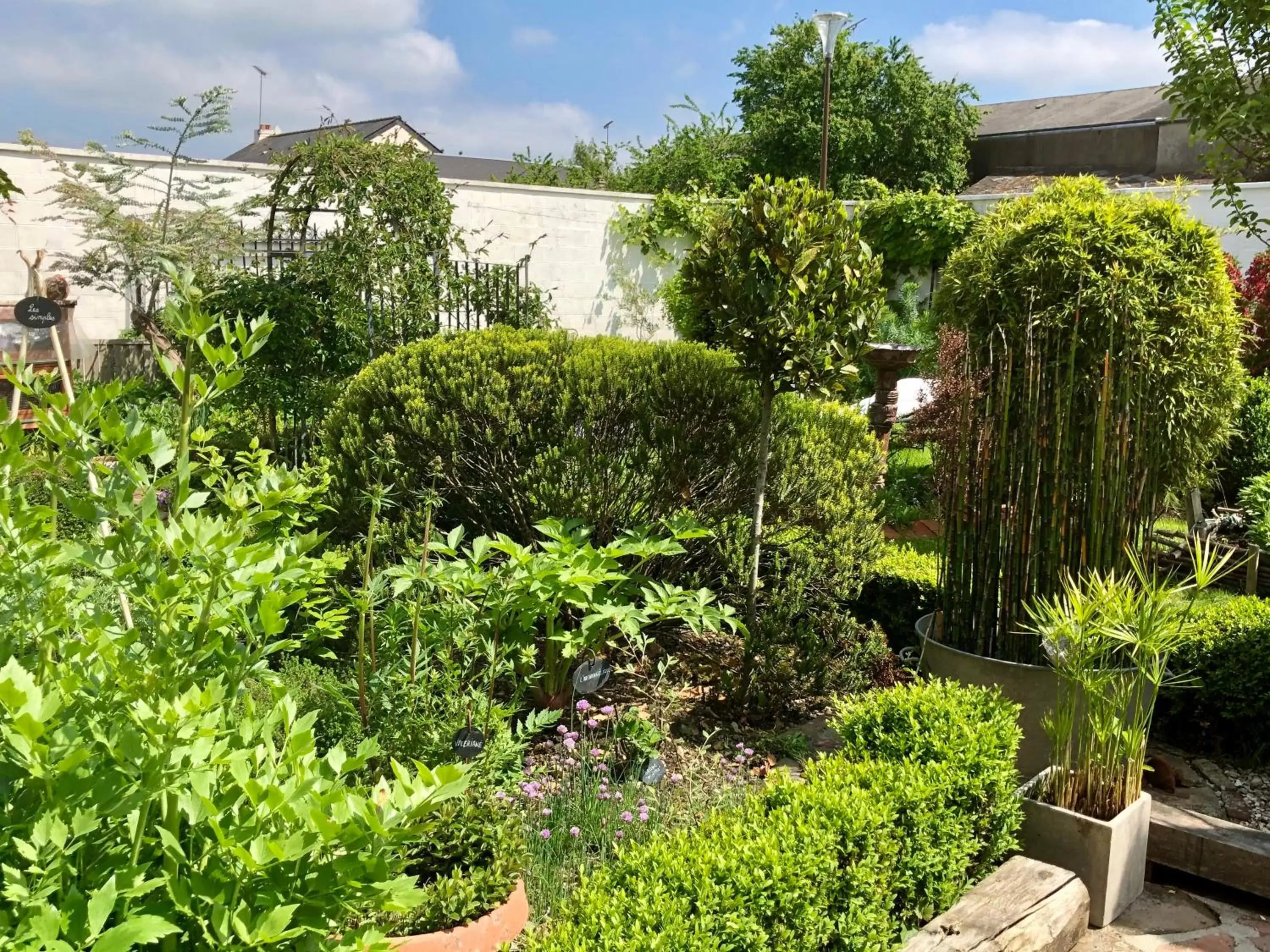 Garden in Le grenier du jardin