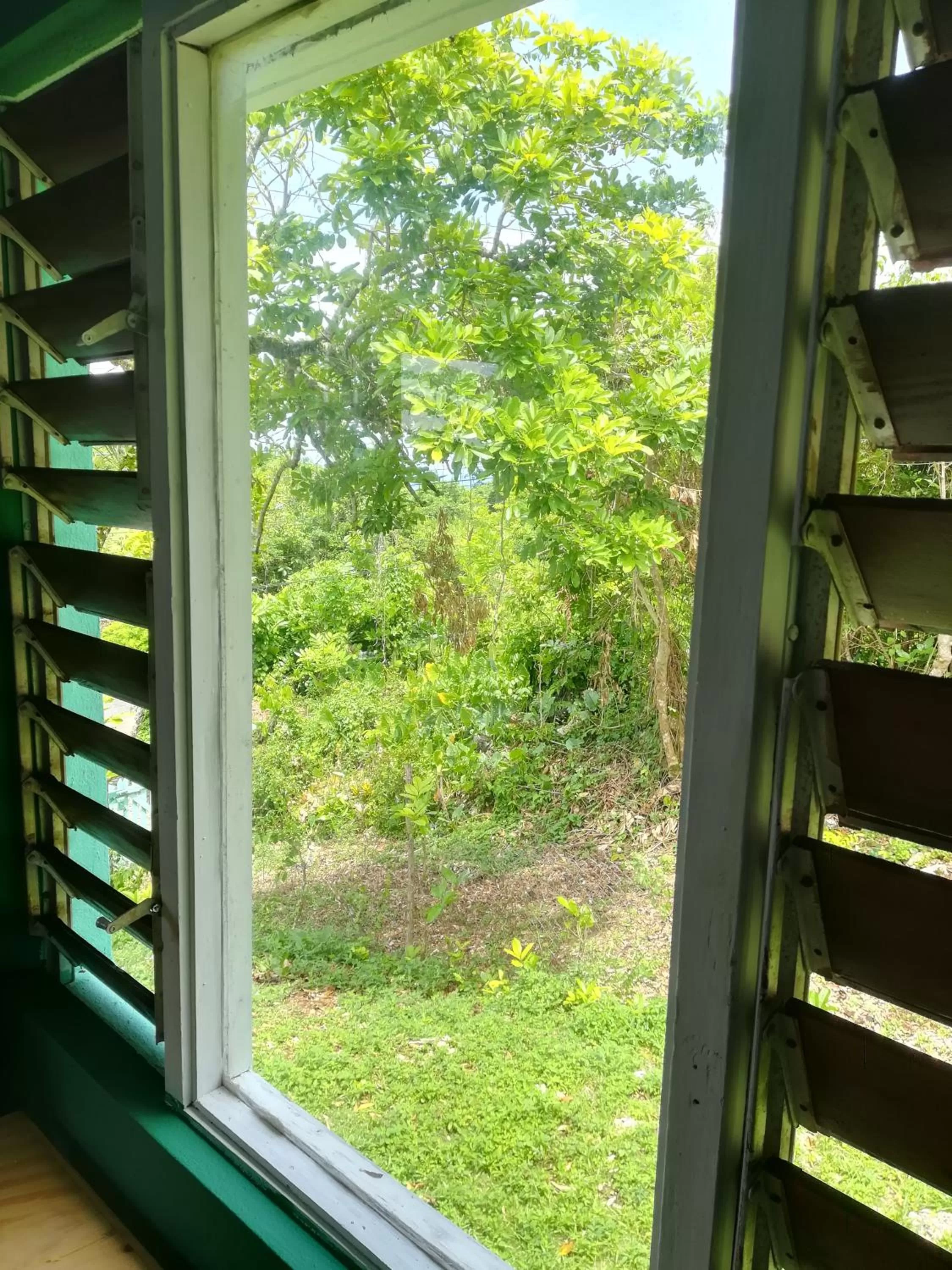 Garden View in TOGA GUEST HOUSE