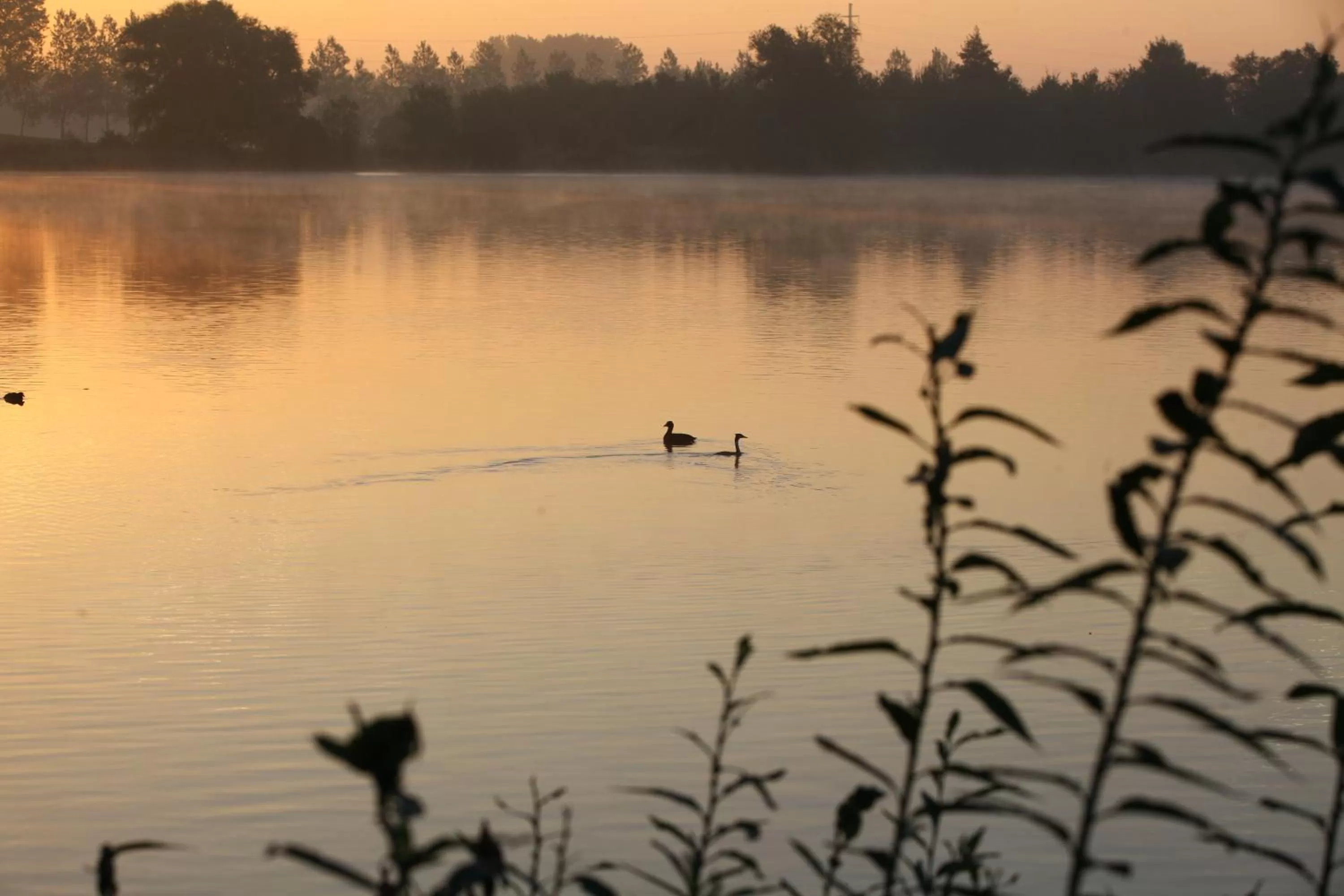 Natural landscape in Best Western Hotel du Lac Dunkerque- Restaurant ouvert 7/7 midi et soir