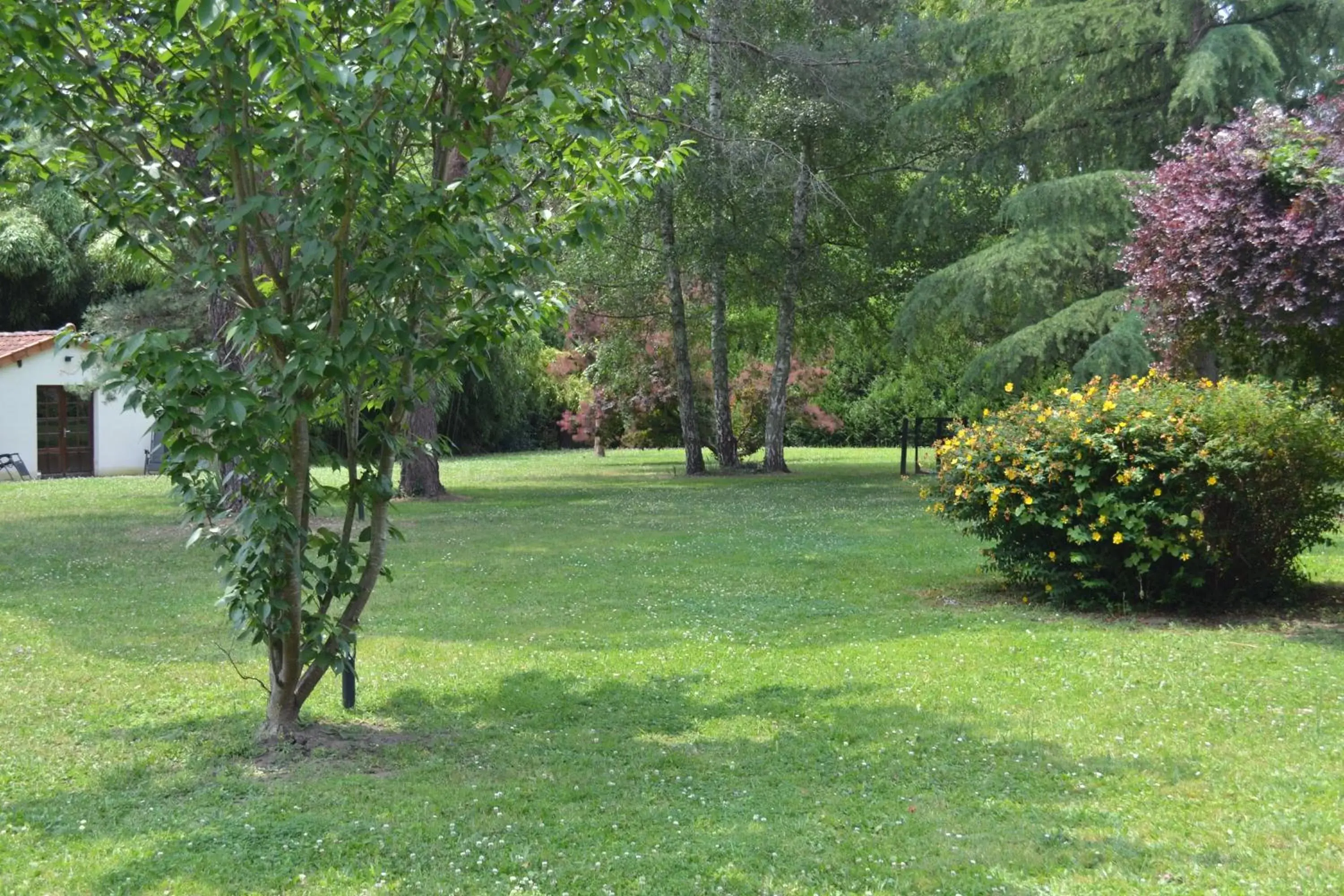 Garden in Les Bruyeres B&B