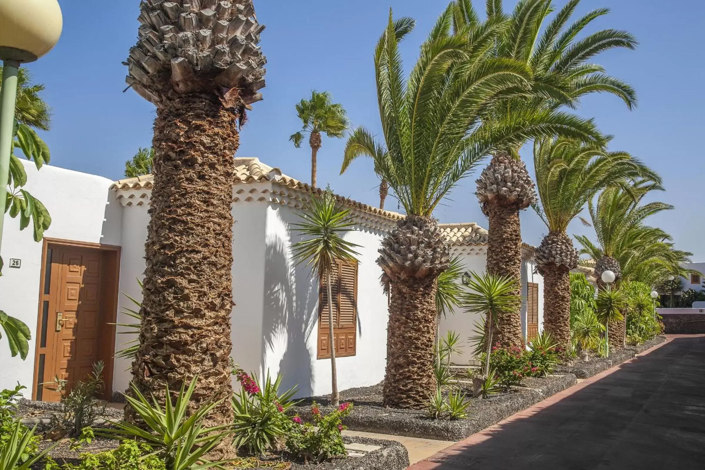 Garden, Property Building in Royal Tenerife Country Club