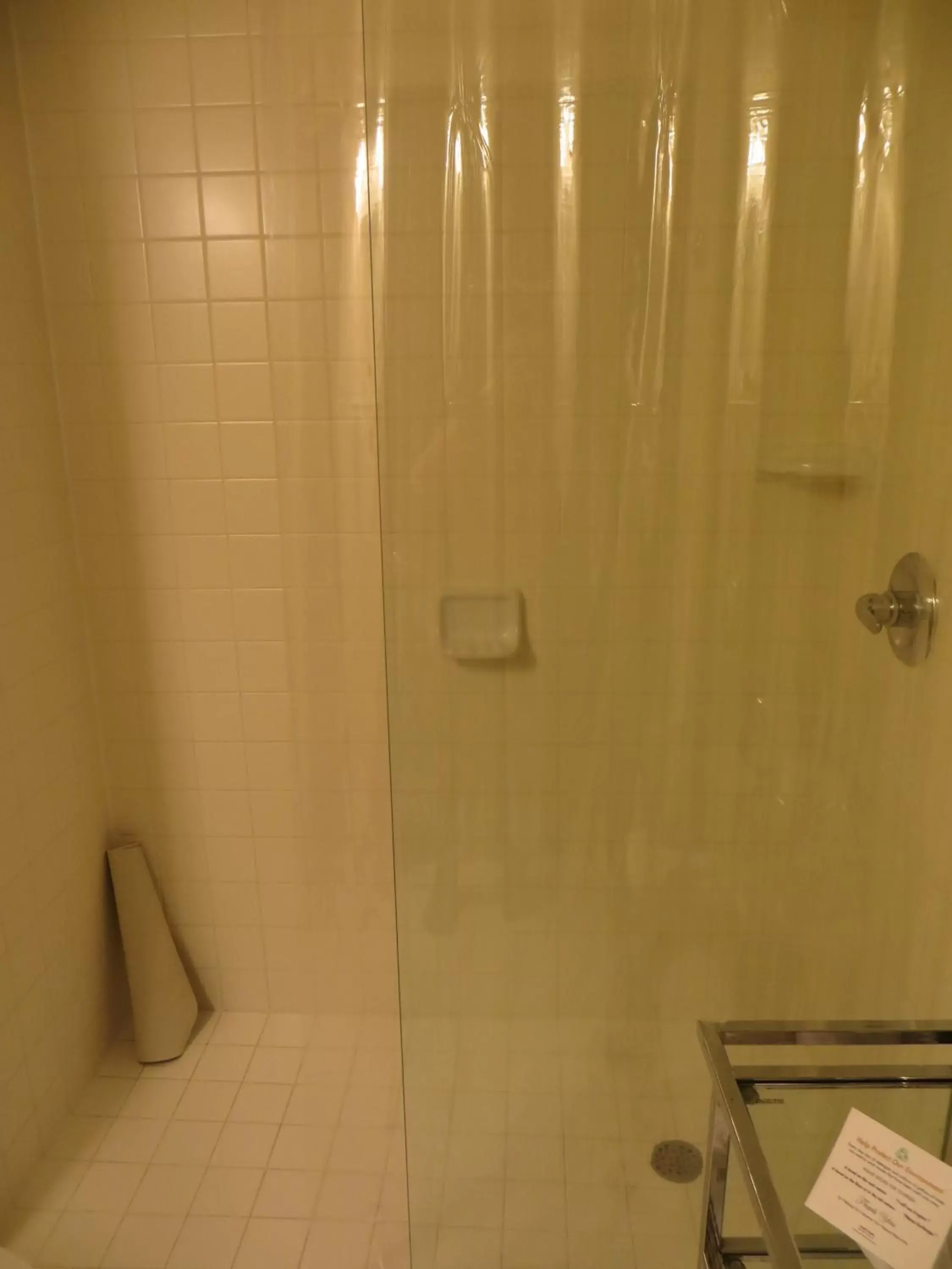Bathroom in Mark Twain Hotel