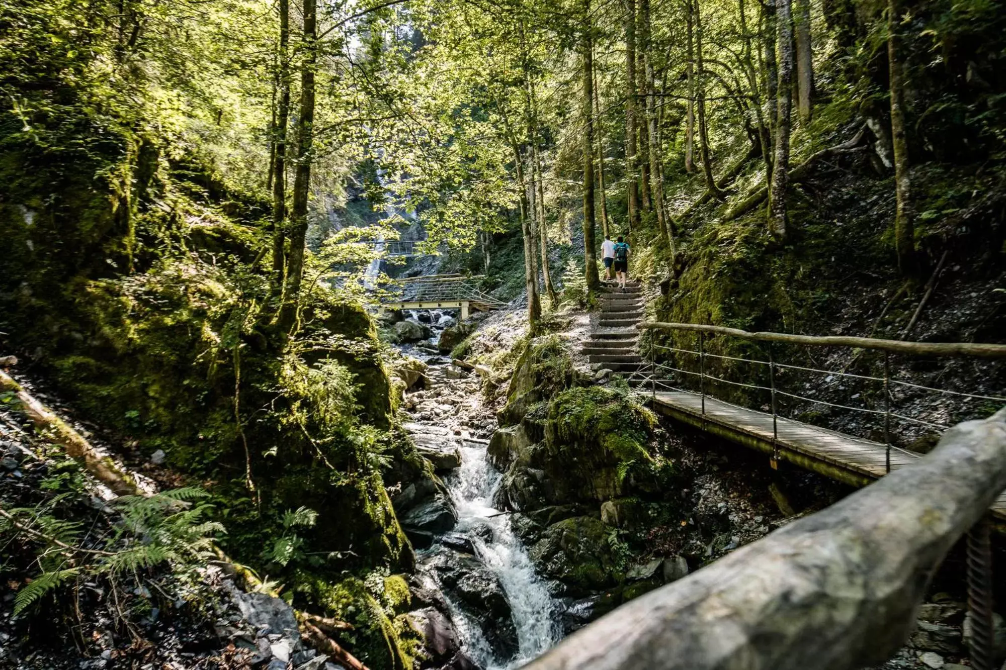 Natural Landscape in Hotel Bruggwirt