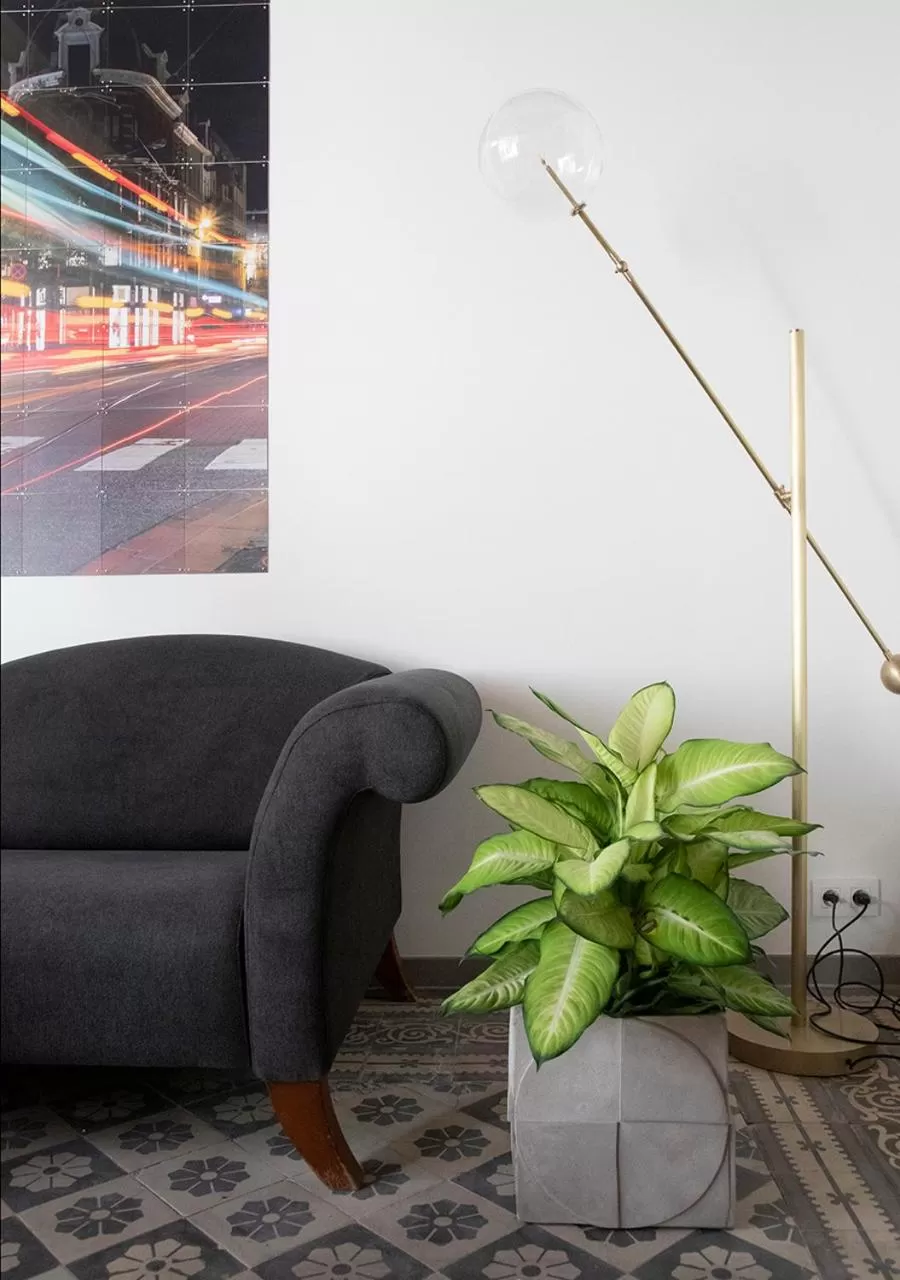 Living room in The Greenhouse